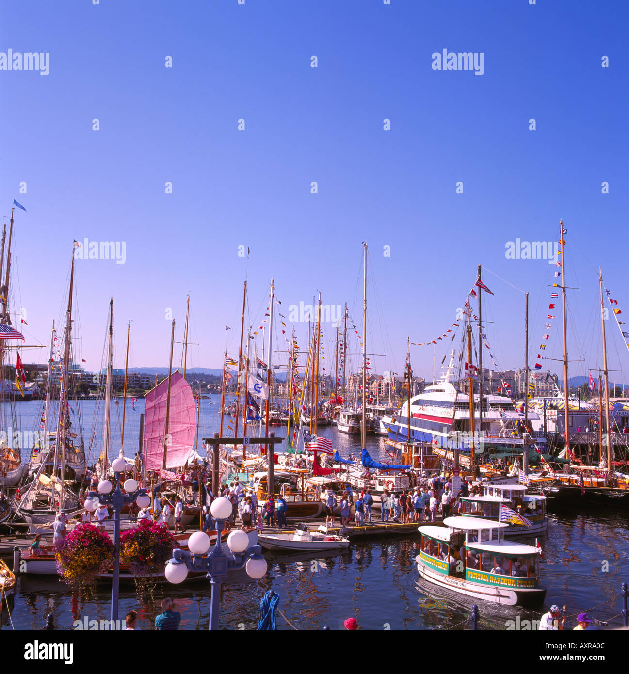 Pleasure Boats docked in the Inner Harbour of the City of Victoria on ...