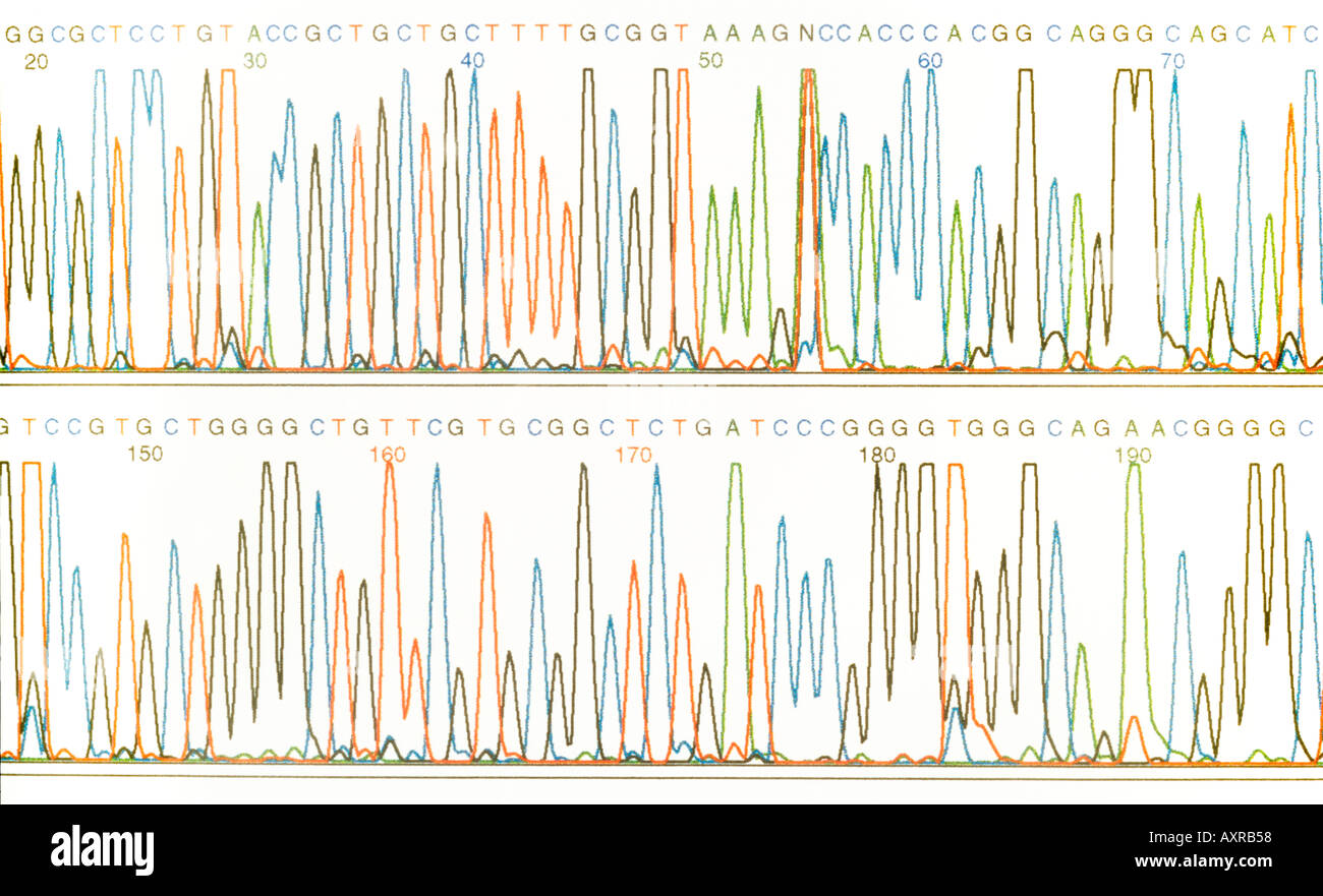 Sequencing Chromatogram