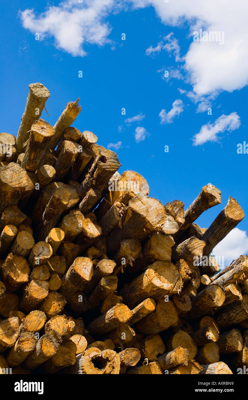 Blue cut pile hi-res stock photography and images - Alamy