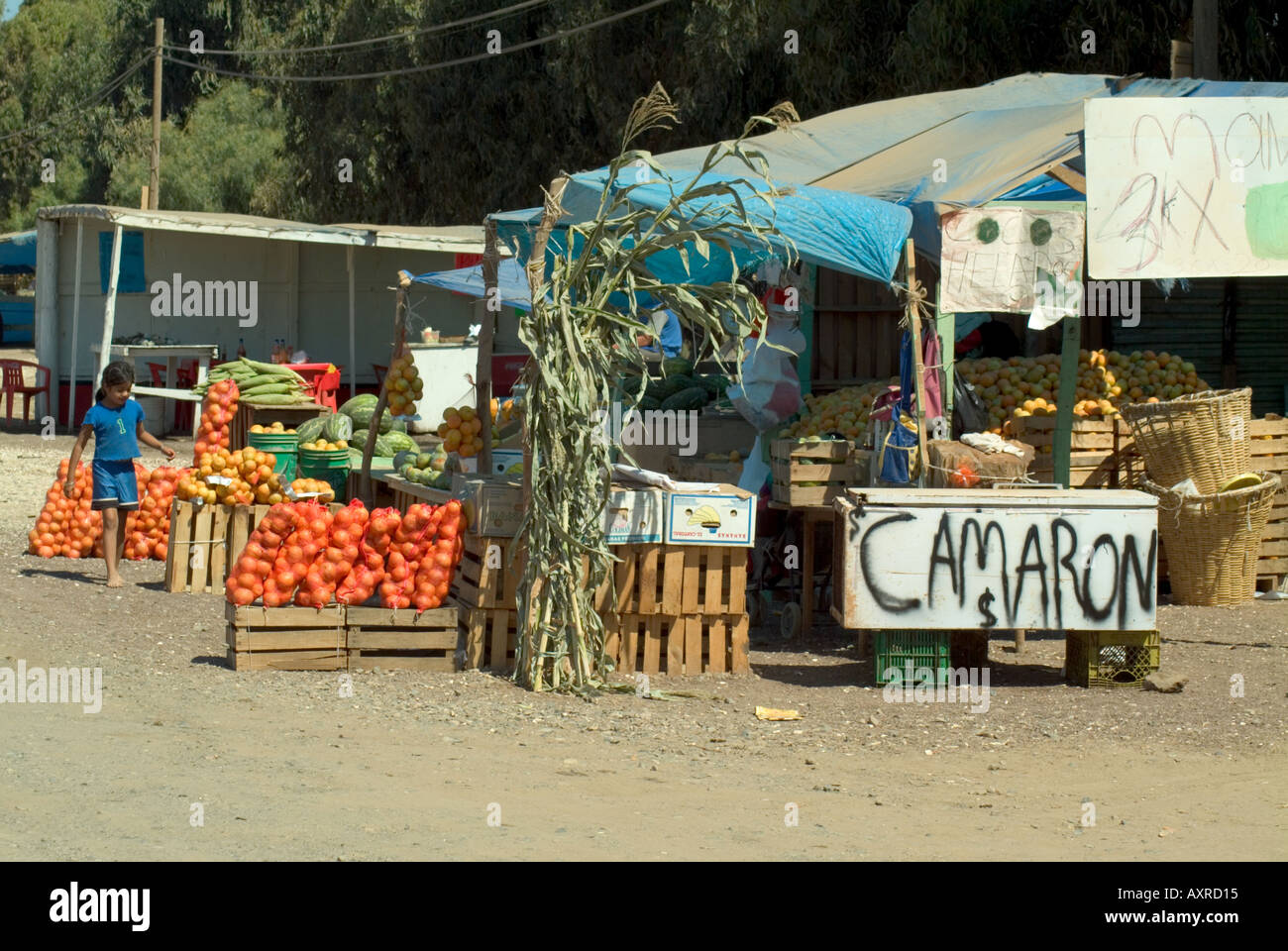 Produce Stand north of San Quintin Baja California Stock Photo
