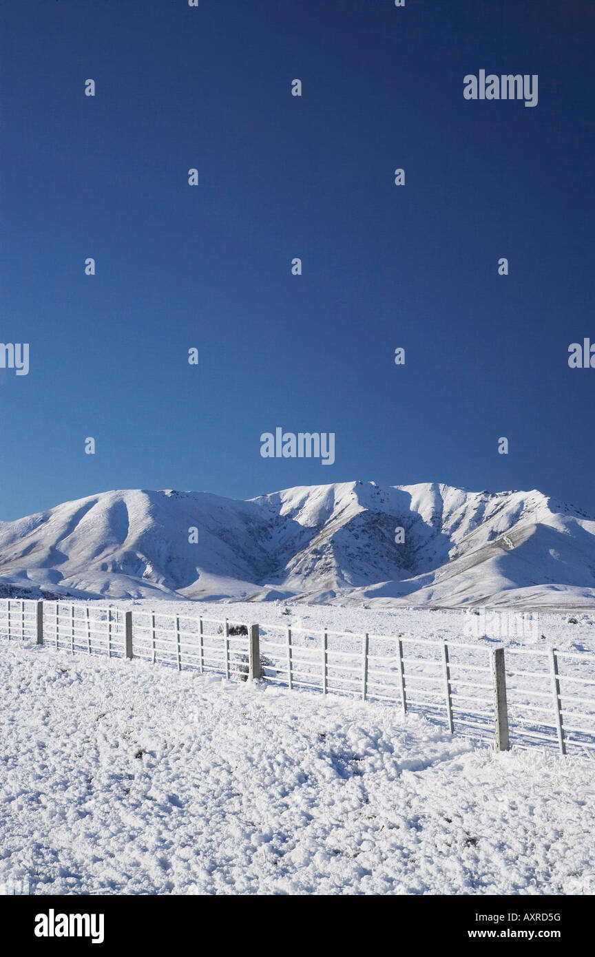 Hoar Frost on Farmland near Wedderburn and Ida Range Maniototo South Island New Zealand Stock Photo