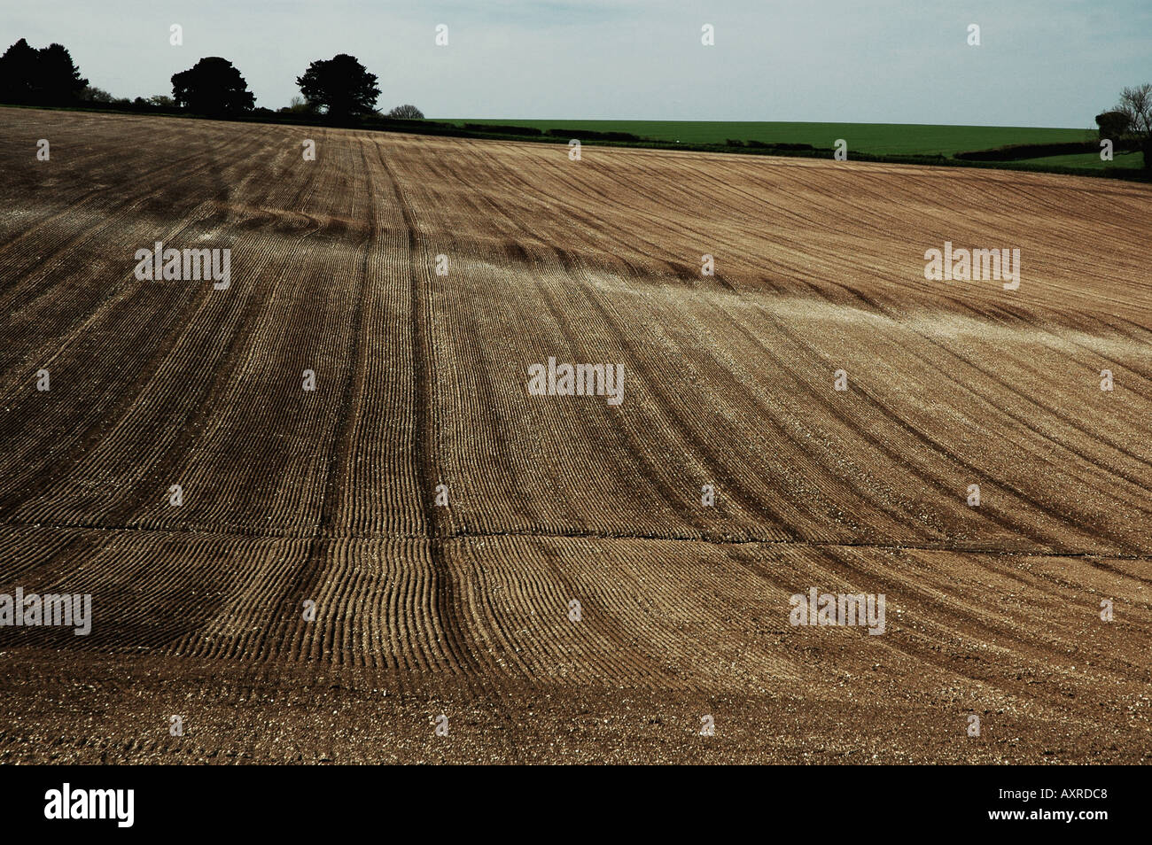 Patterns in the soil on a ploughed field late afternoon Stock Photo