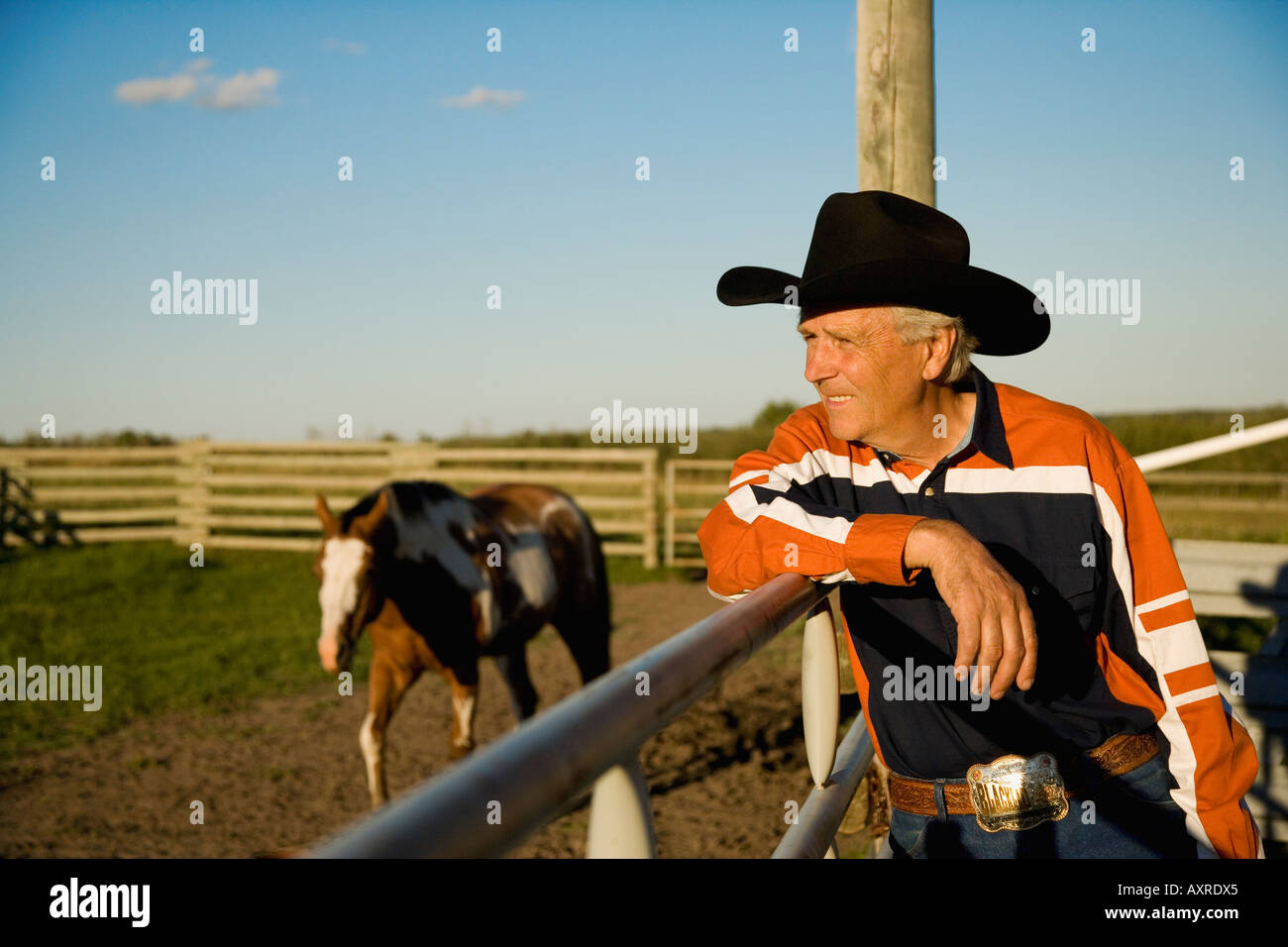 Man leaning on horse hires stock photography and images Alamy