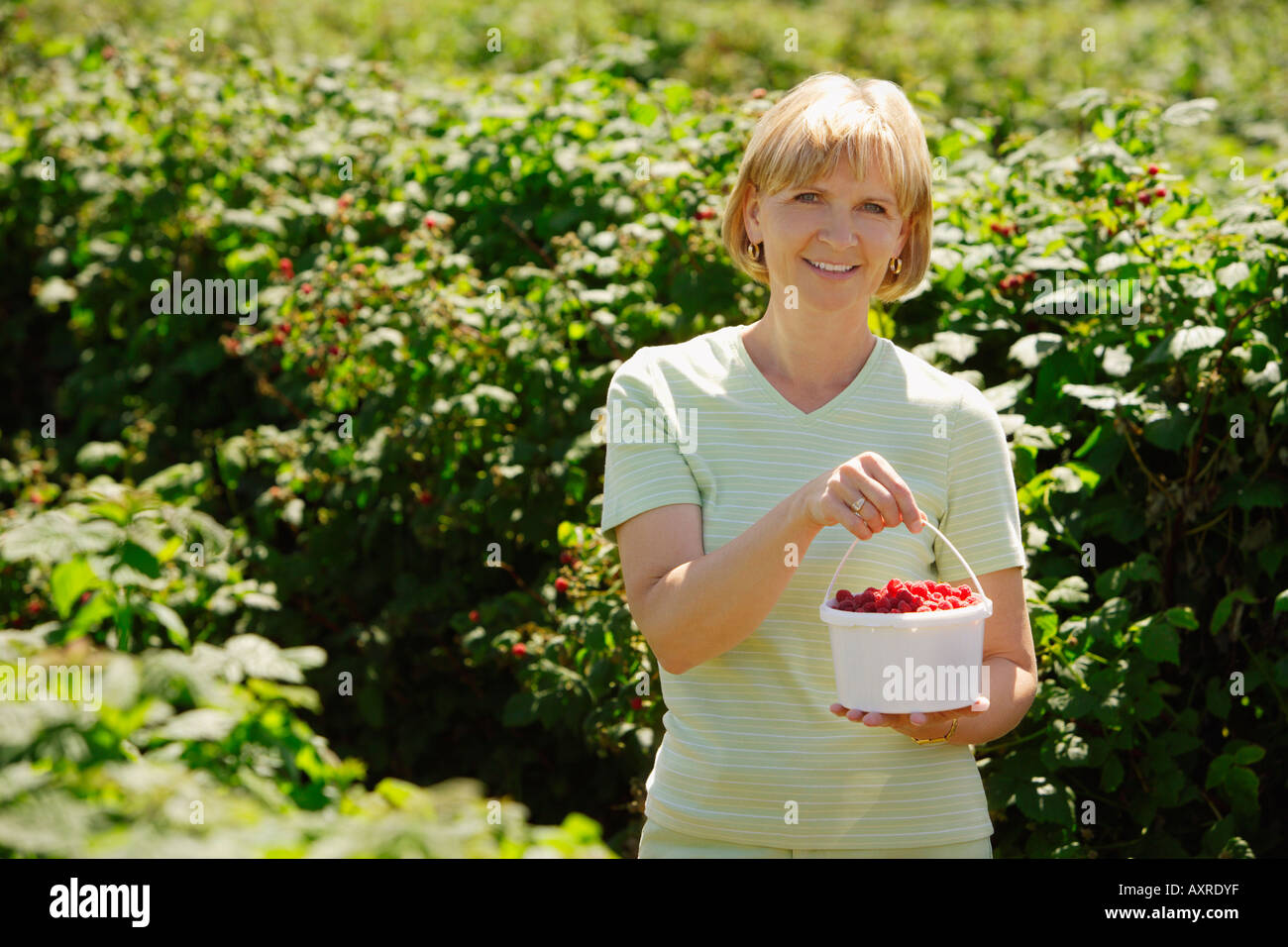 Woman berries farm mature hi-res stock photography and images - Alamy