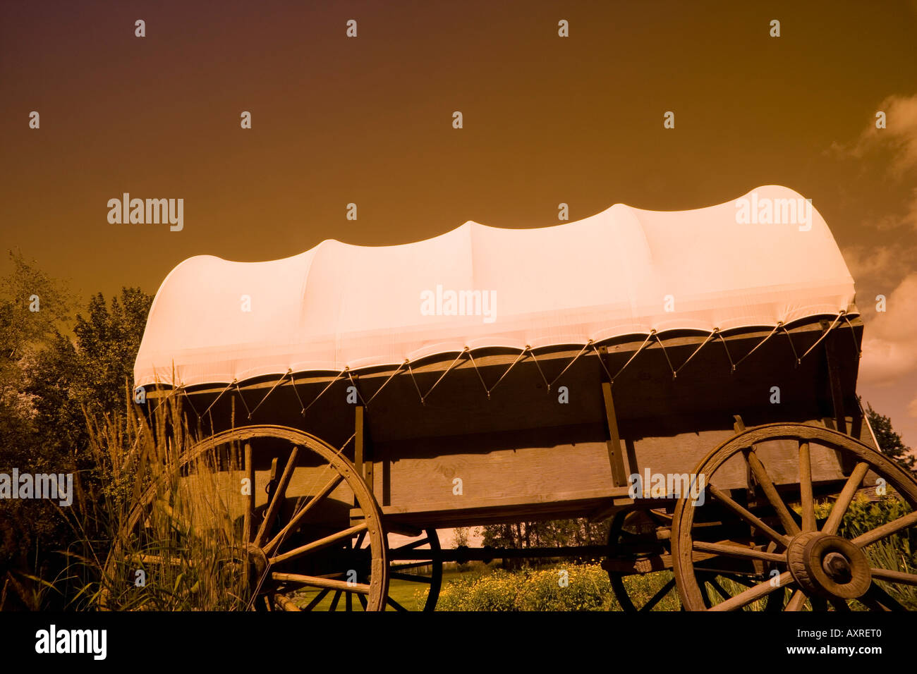 Conestoga wagon hires stock photography and images Alamy