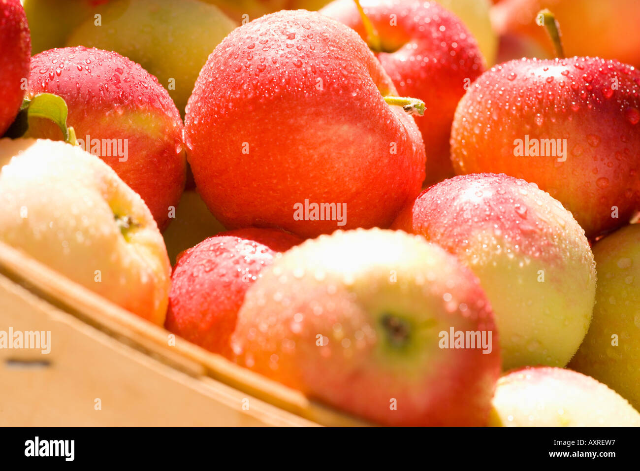 Bushel of apples Stock Photo Alamy