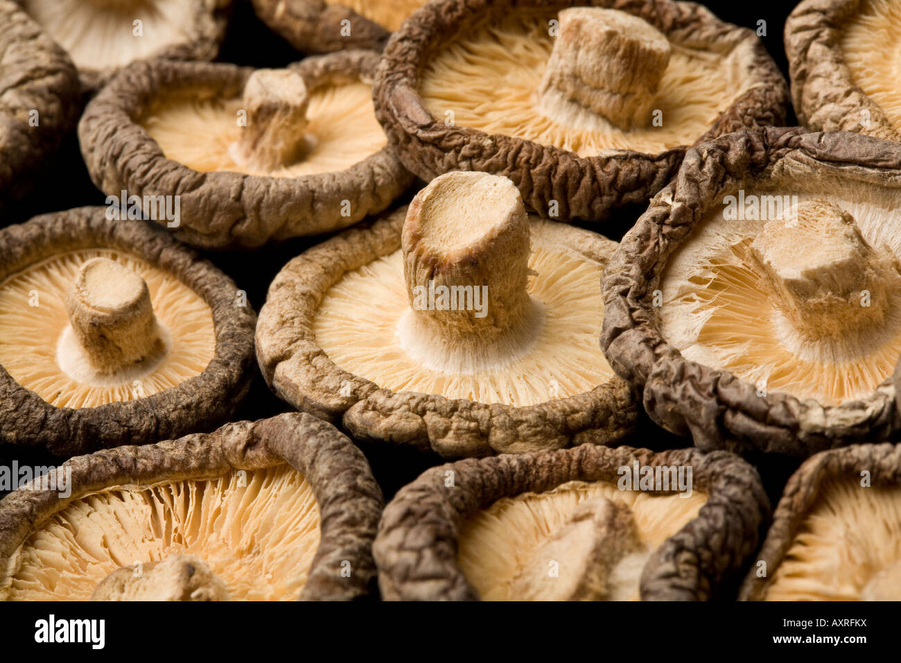 Dried Shiitake Mushrooms Stock Photo Alamy