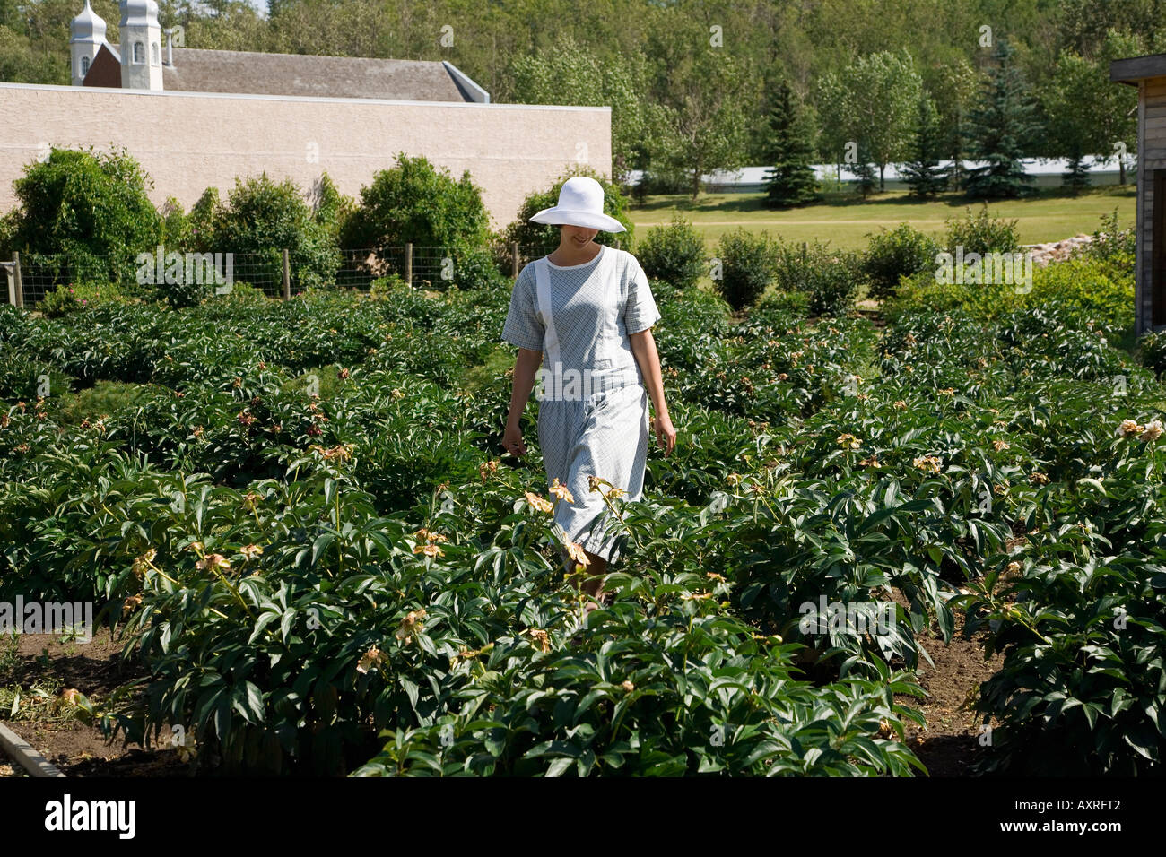 Woman wearing old fashioned clothing in garden Stock Photo