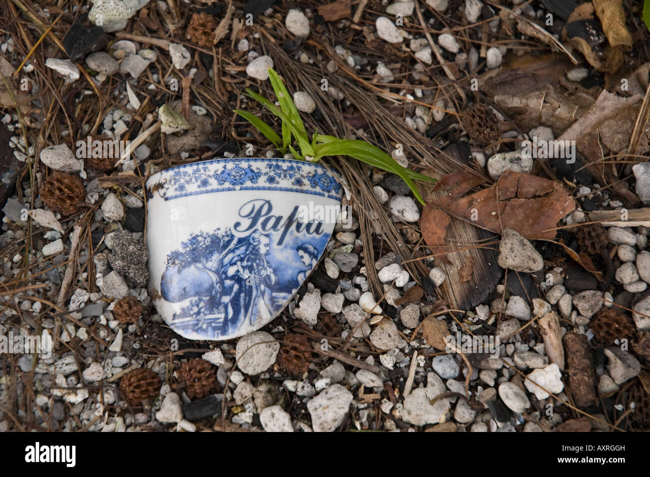 Fragment of broken porcelain cup. Stock Photo