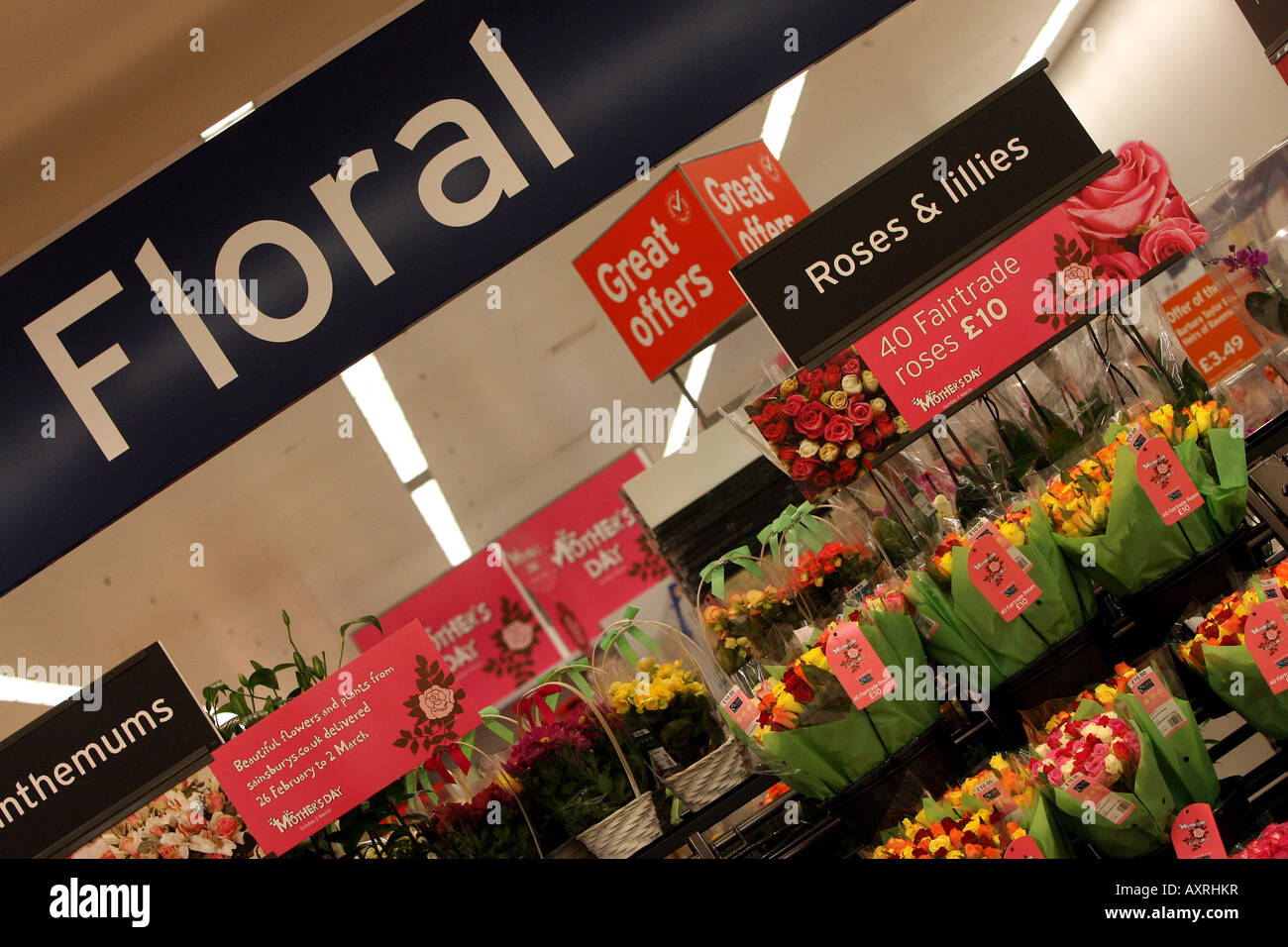 Flowers in the flower stand at Sainsbury s supermarket at London Colney