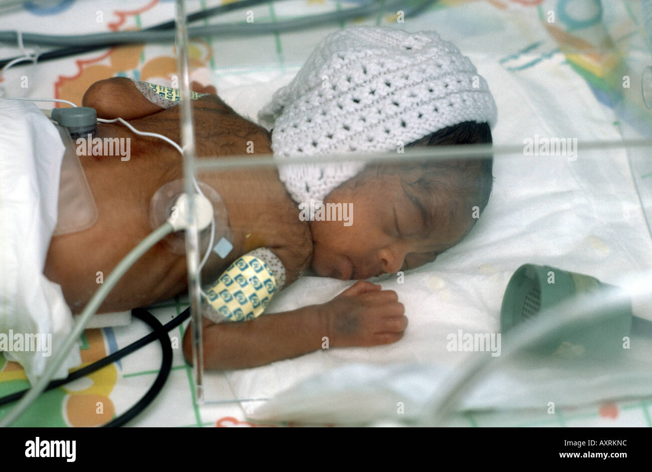 premature baby in an incubator Stock Photo Alamy