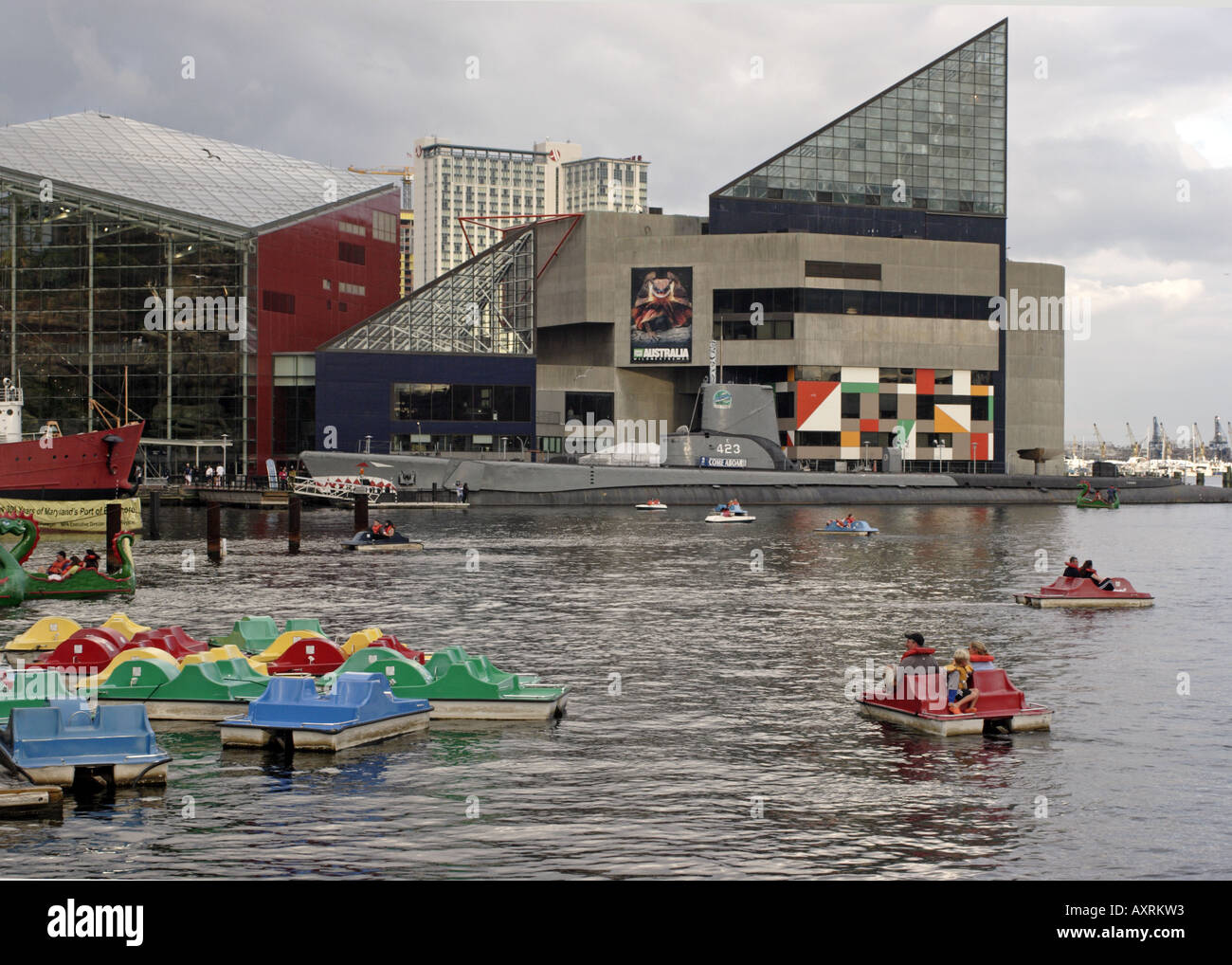 Paddle boats in Baltimore Inner Harbor and the National Aquarium Stock