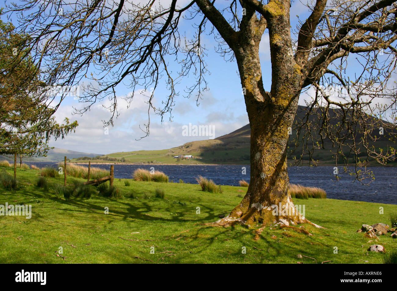 Llyn Celyn near Bala Gwynedd Stock Photo