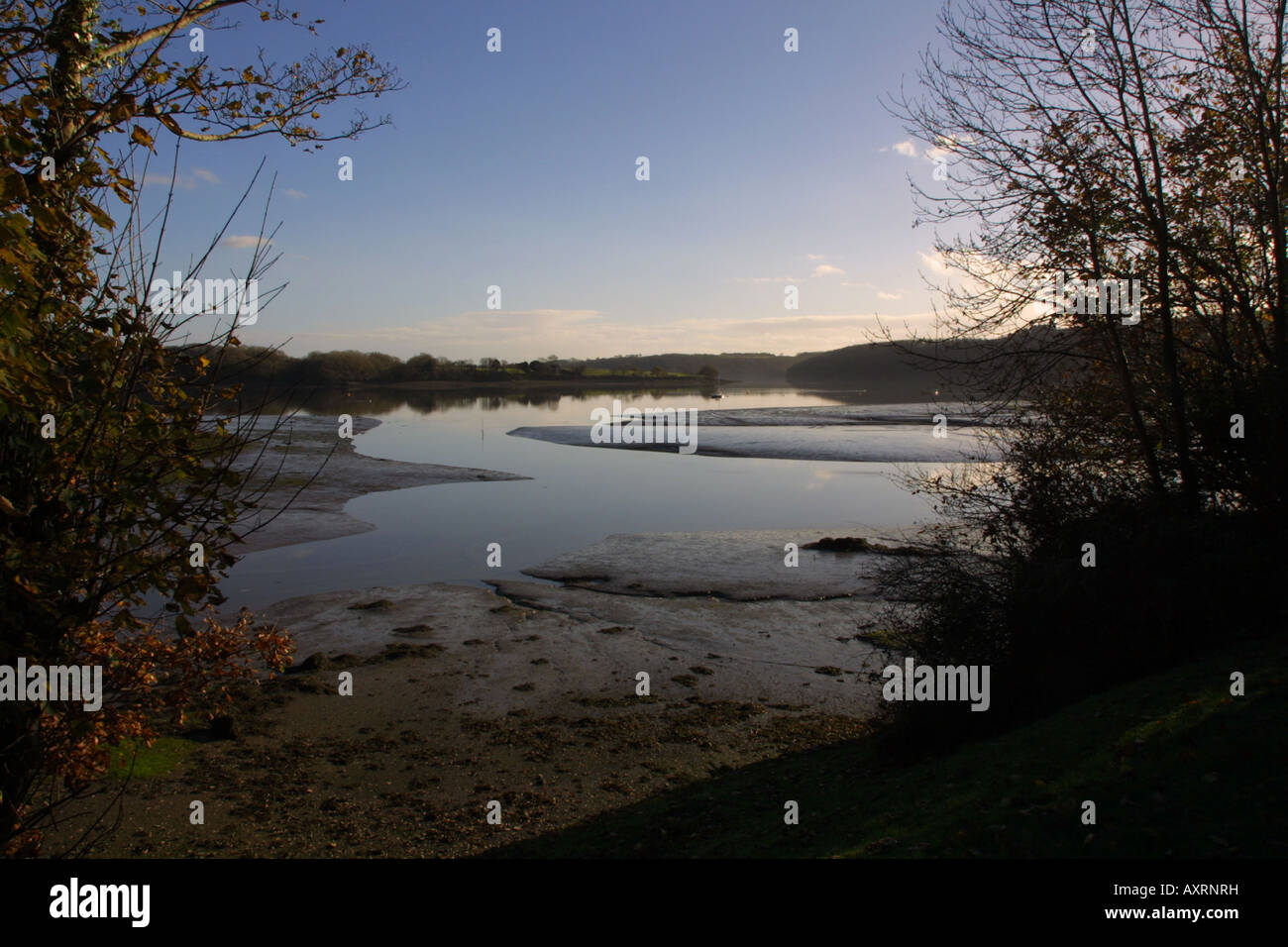 Cleddau estuary near Llangwm, Pembrokeshire, Wales. river and mud flats