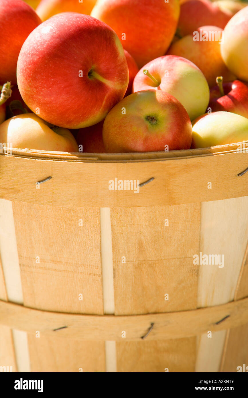 Bushel of apples Stock Photo