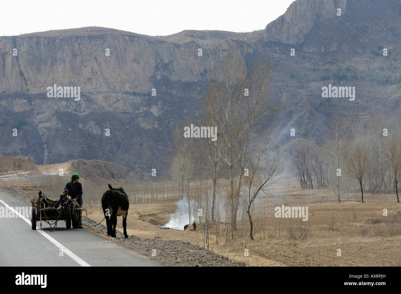 A woman with a donkey in a village in Chicheng county, Hebei, China. 27-Mar-2008 Stock Photo