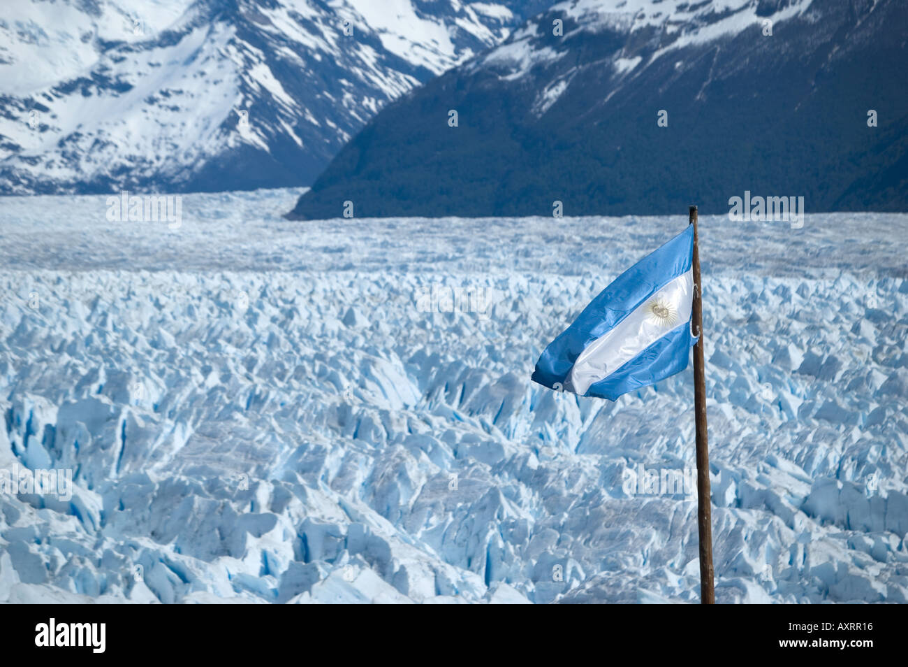 The Glacier Perito Moreno Argentinean Flag Stock Photo Alamy