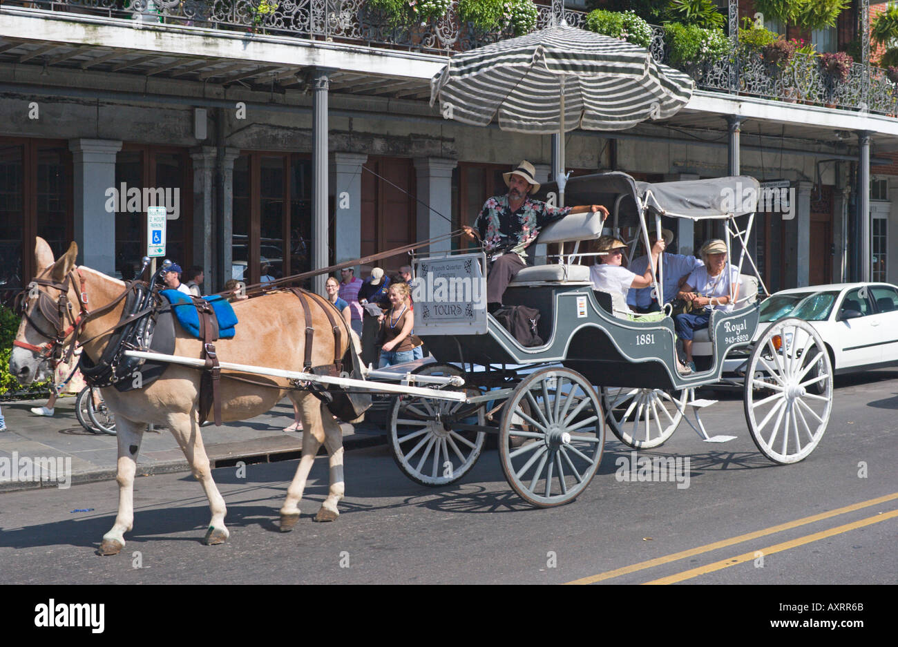 Visitors siteseeing in horse drawn carriage on Decatur Street in the French Quarter of New Orleans Louisana USA Stock Photo