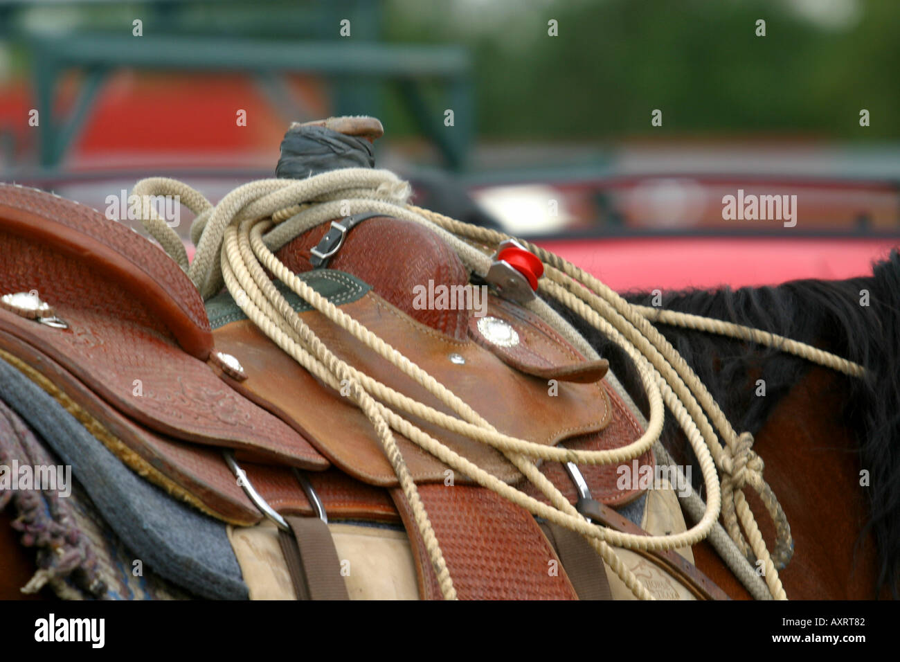 Black tears horse hires stock photography and images Alamy