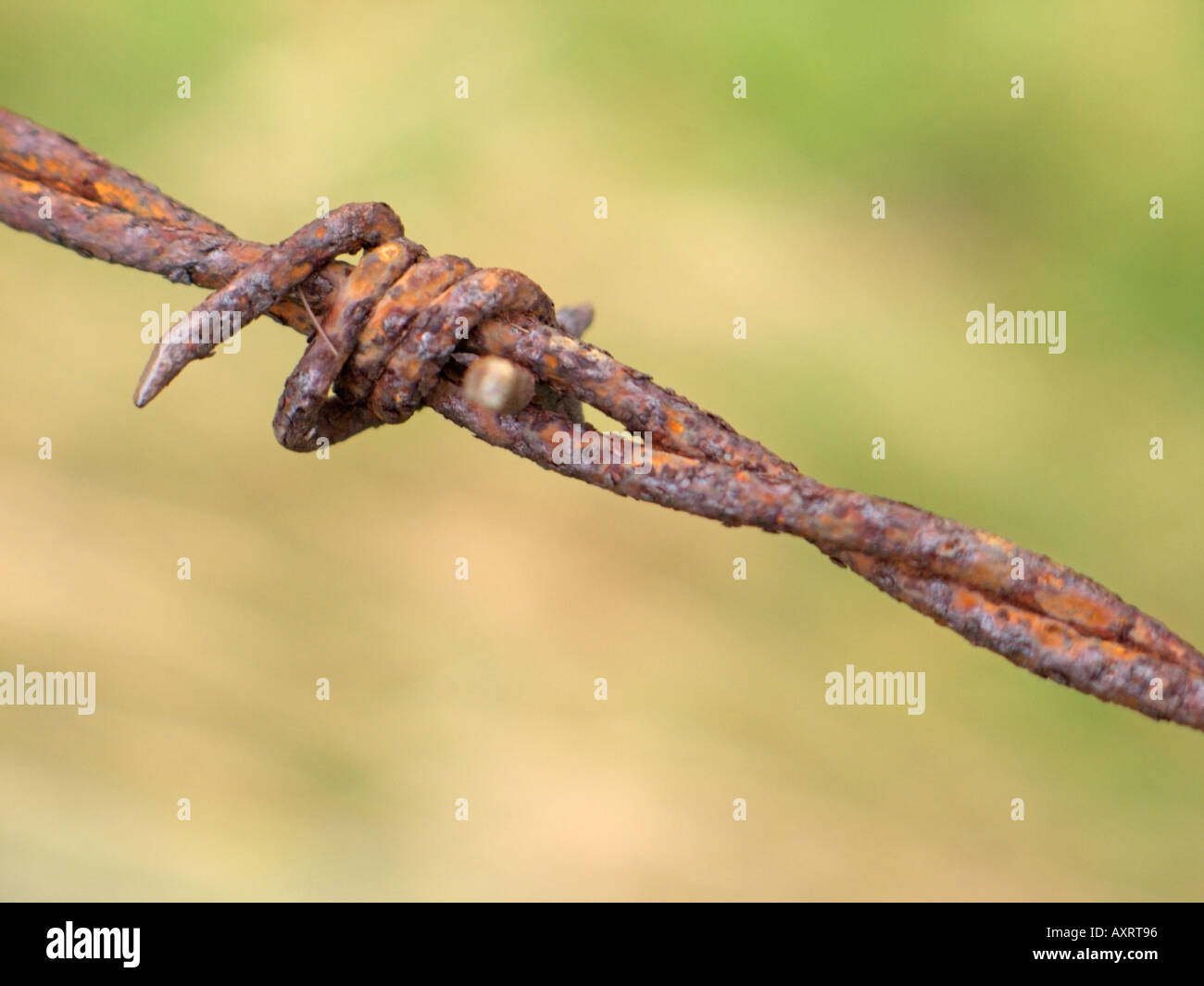 Joseph glidden barbed wire hires stock photography and images Alamy