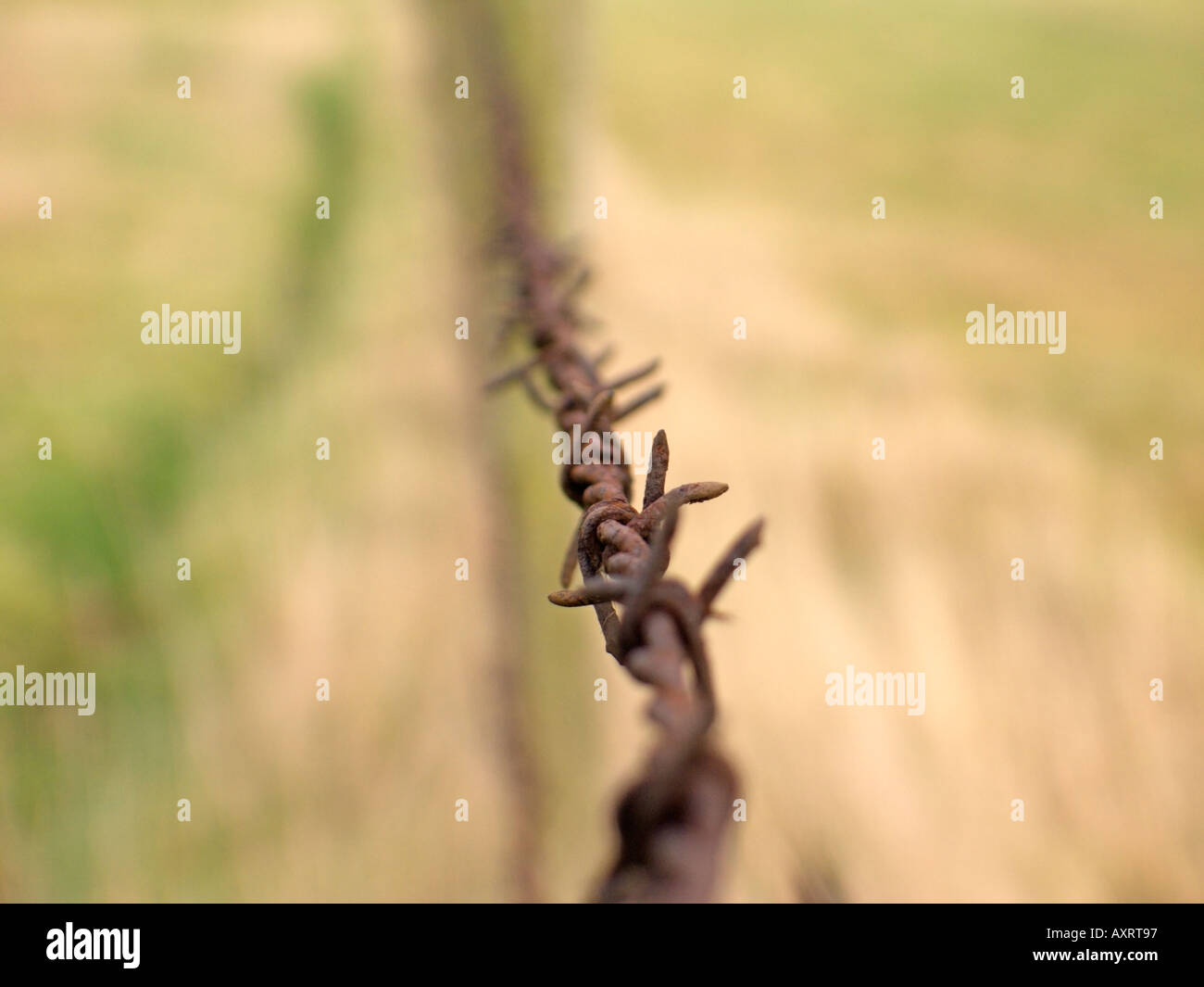 Joseph glidden barbed wire hires stock photography and images Alamy
