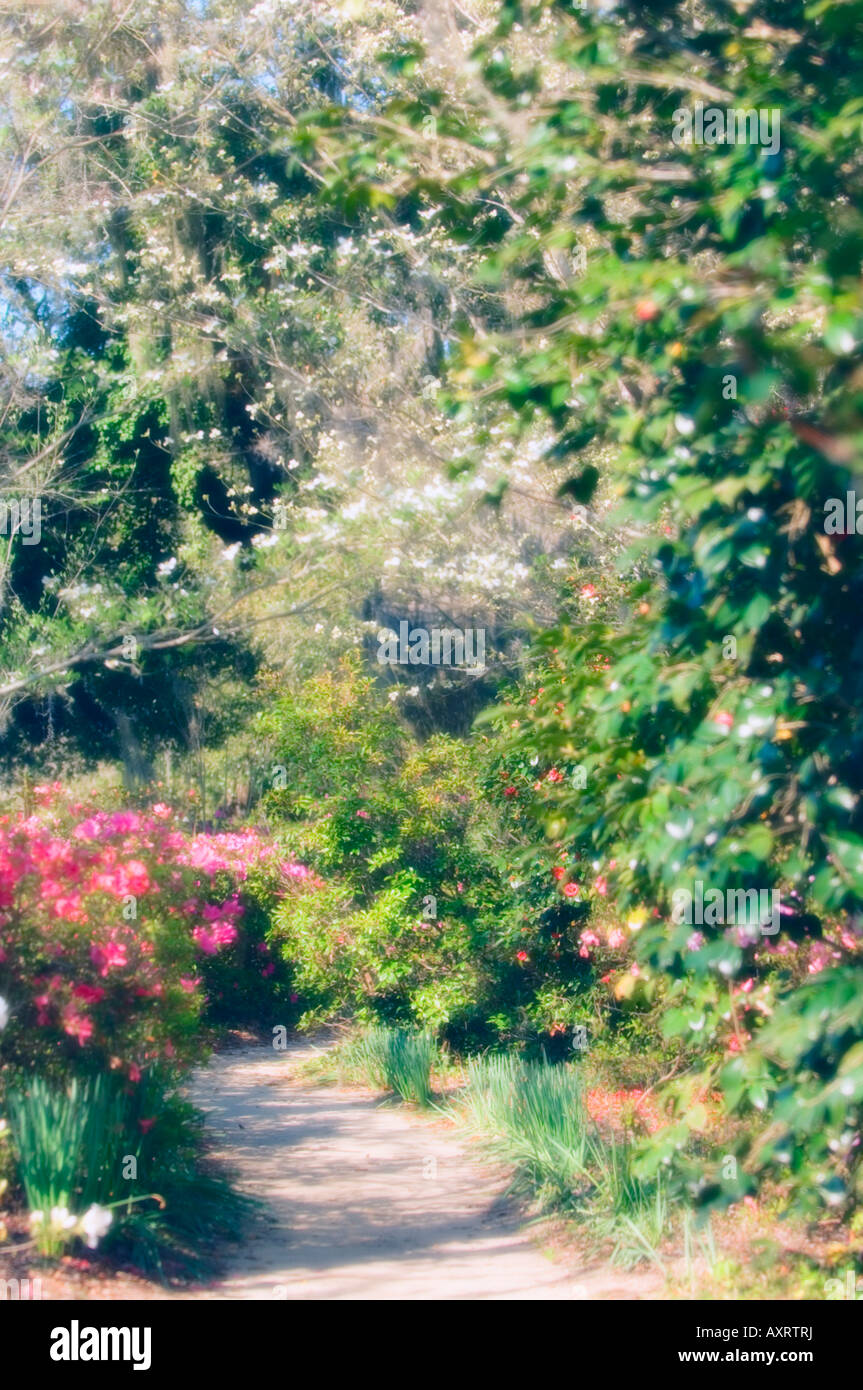 Azalea walk hi-res stock photography and images - Alamy