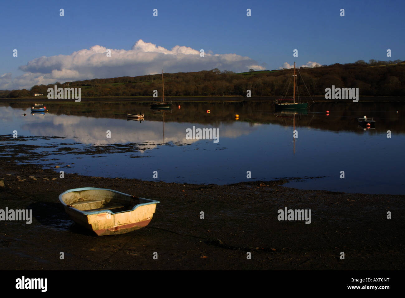 Summer on the cleddau hires stock photography and images Alamy