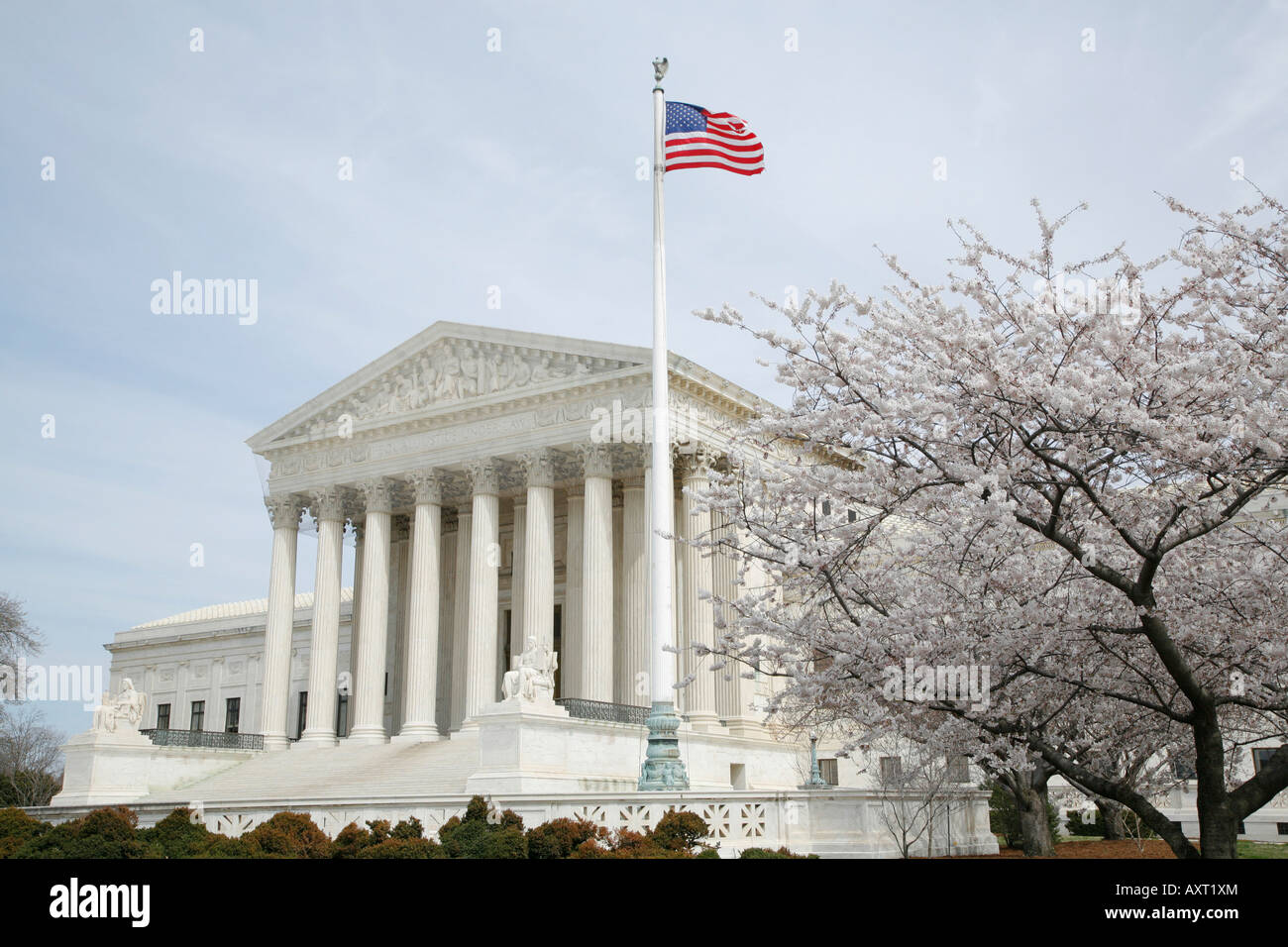 US Supreme Court building, Cherry Blossoms, Washington DC, USA Stock Photo