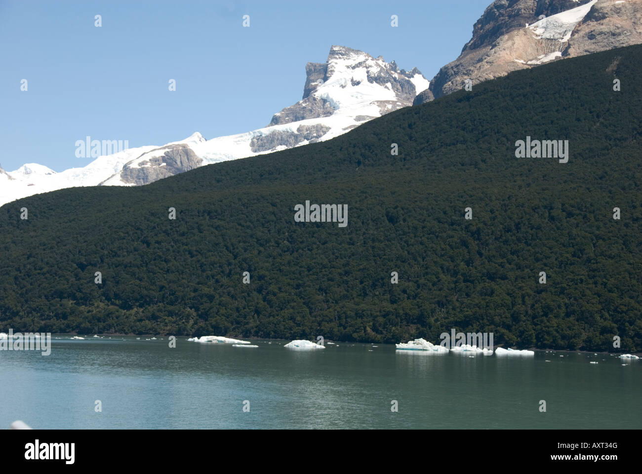 Views of Spegazzini Glaciar, Ice Bergs,Blue Ice,Cruise,Parque de Glaciares National,El Calafarte, Patagonia Argentina,South America Stock Photo