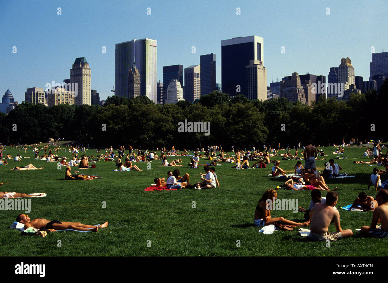 ny central park Stock Photo Alamy