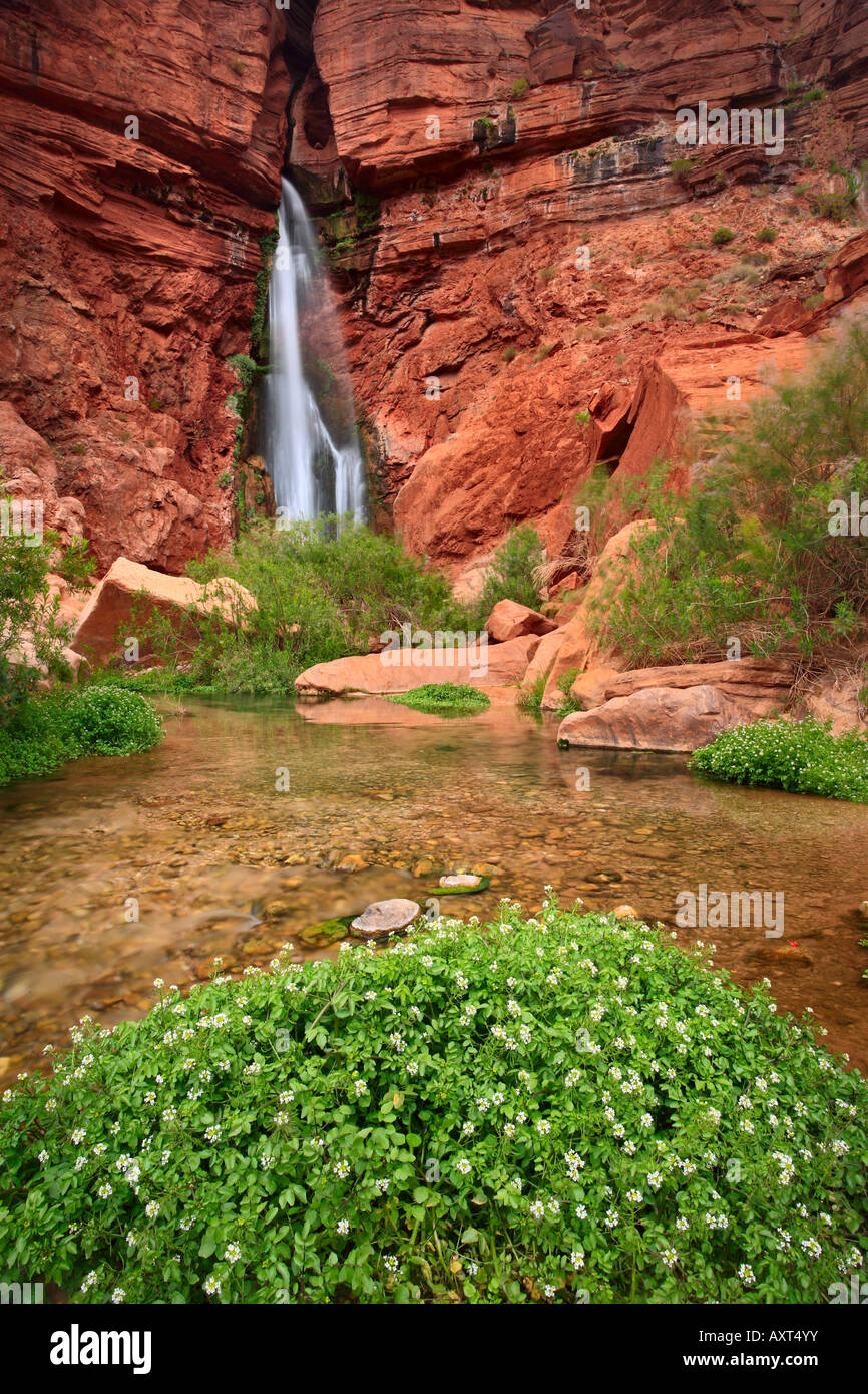 Waterfall on Deer Creek a side stream to the Colorado River in the interior of the Grand Canyon Stock Photo