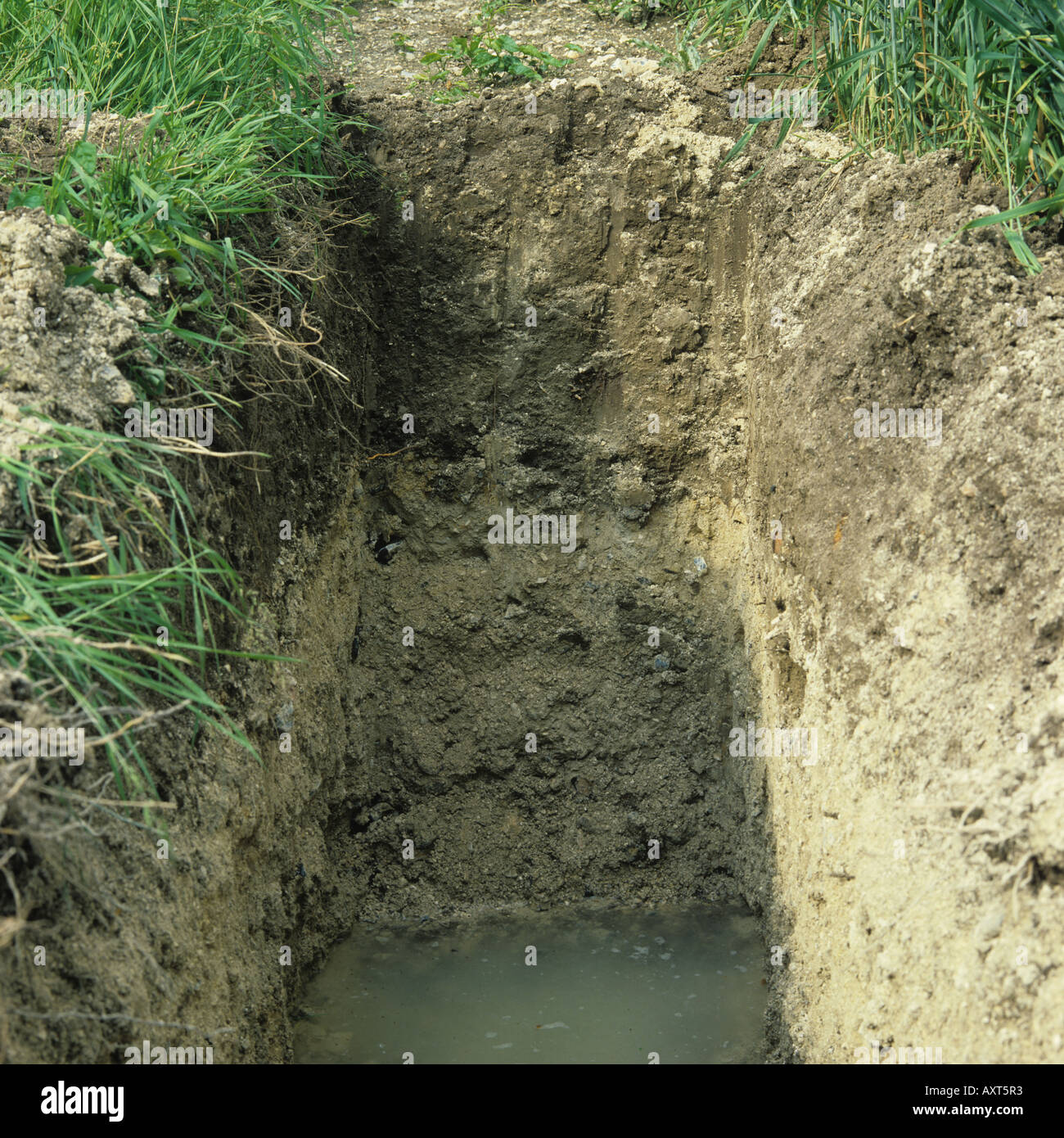 Soil profile pit with chalk loam overlying chalk Stock Photo