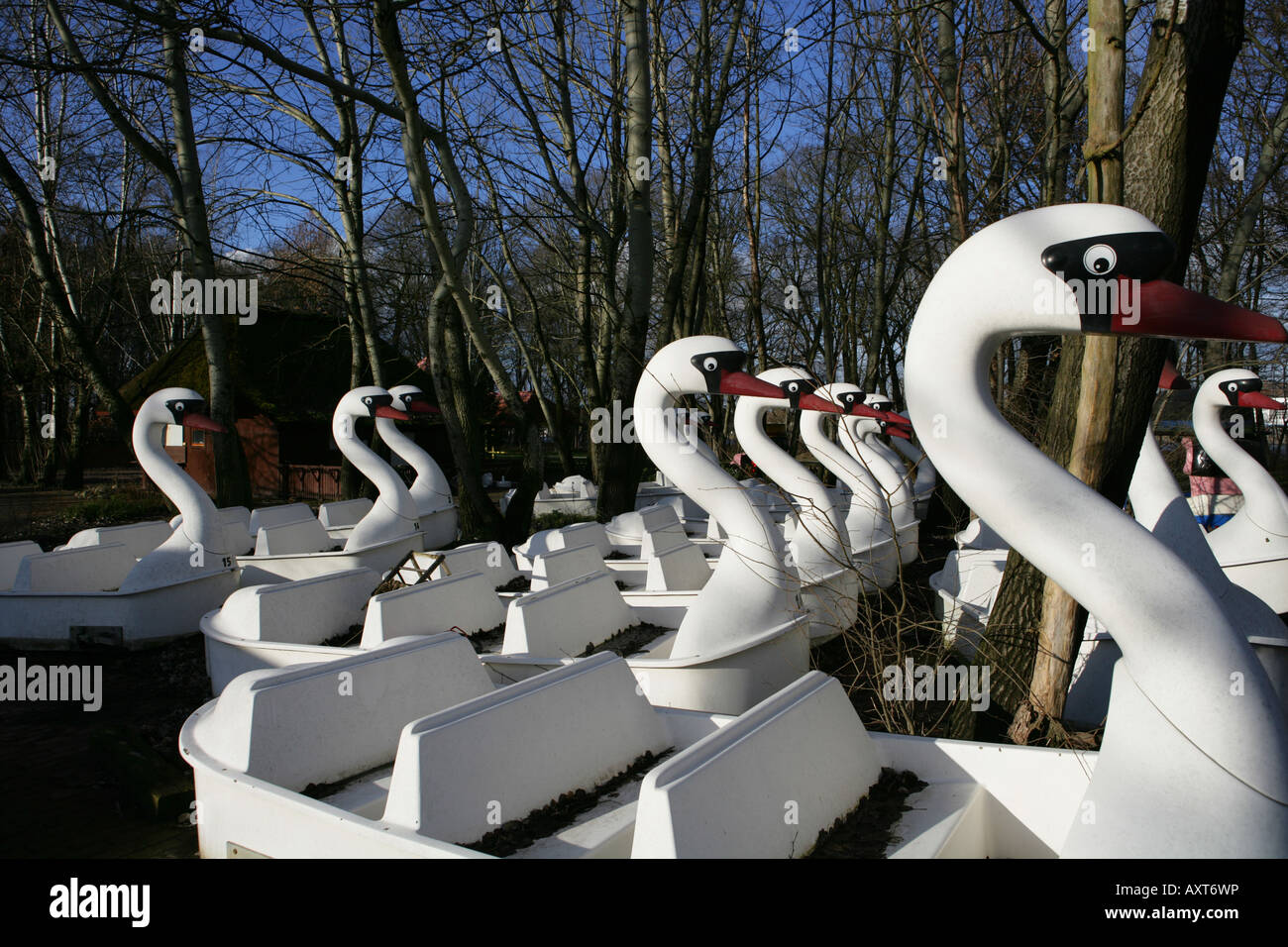 swans they where used as boats once are now on the ground in the park Stock Photo