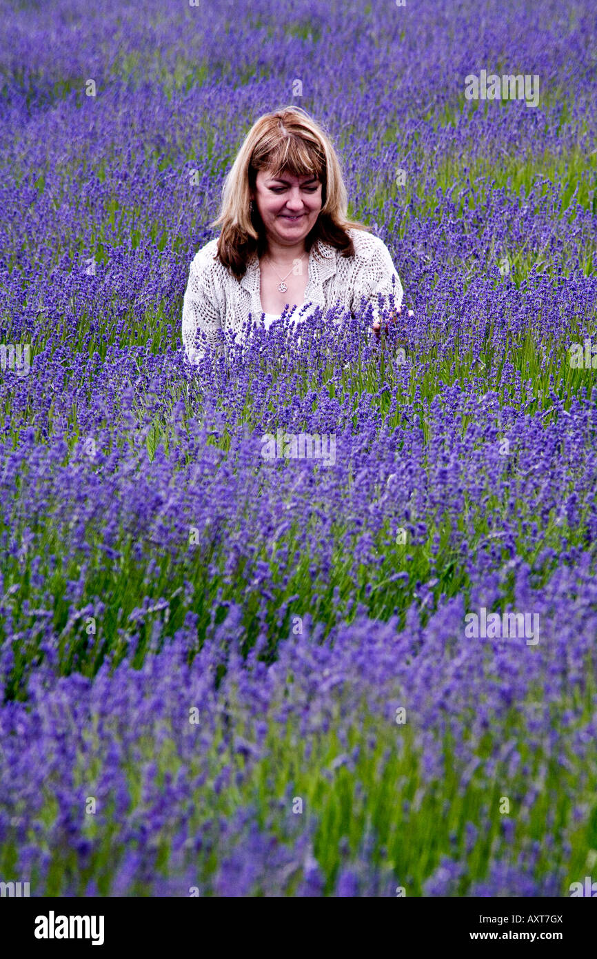 Lady in a field of blue Lavender Stock Photo