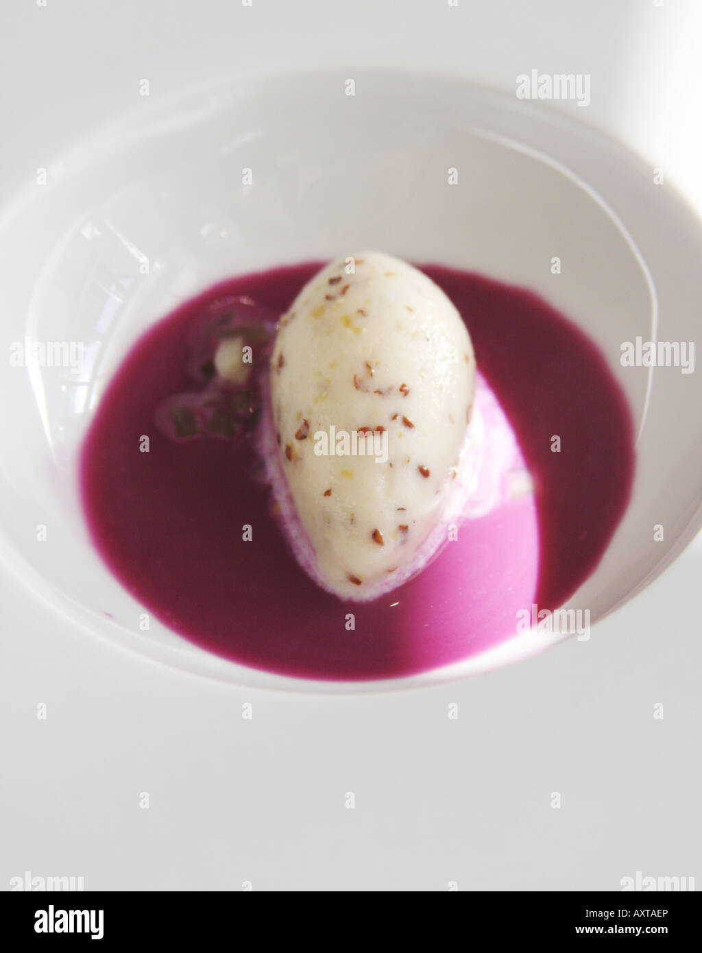 POMMERY GRAIN MUSTARD ICE CREAM + RED CABBAGE GAZPACHO. From taster