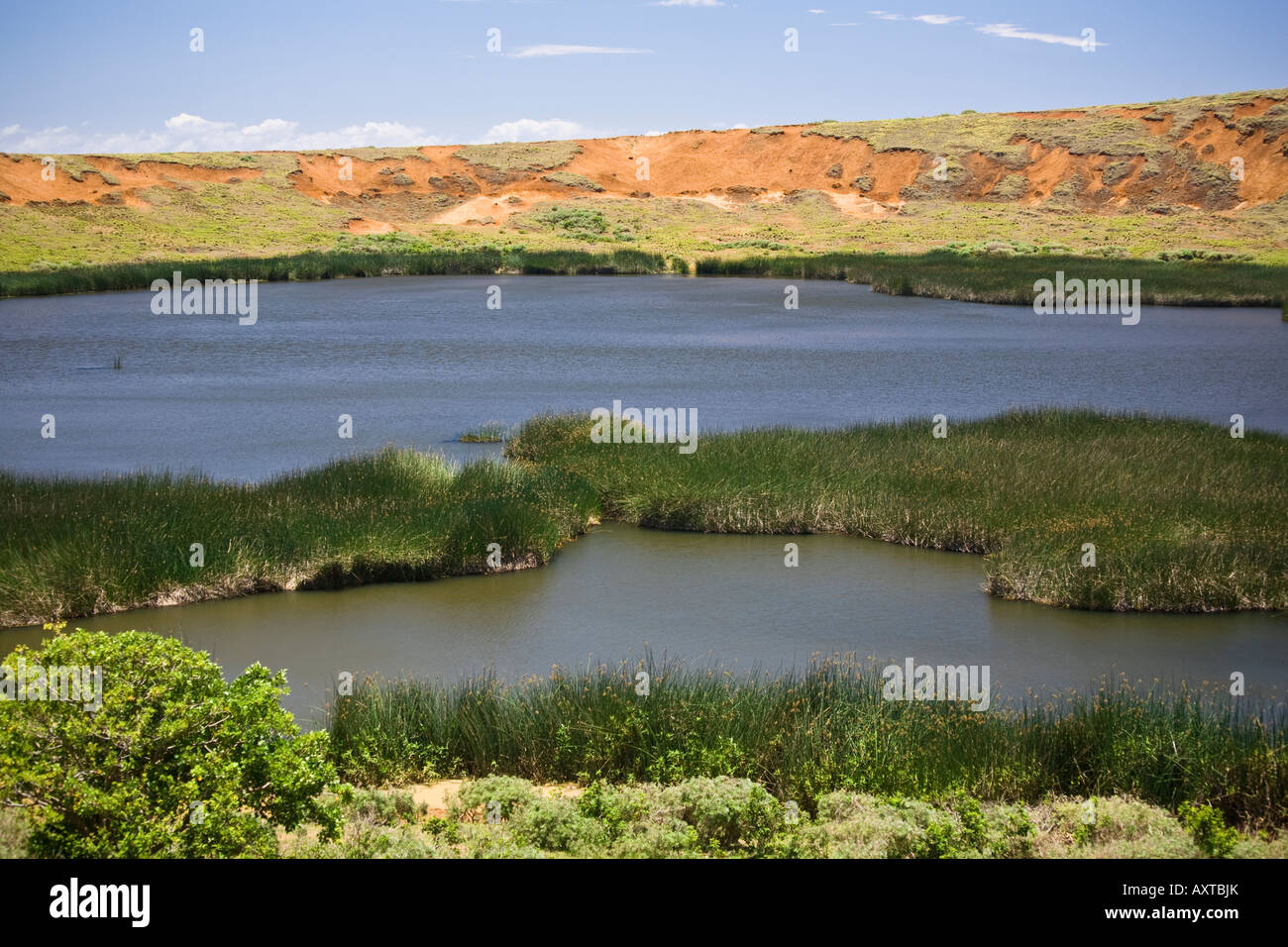 Lake Raku Crater lake of the extinct volcano known as Rano Raraku Stock Photo - Alamy