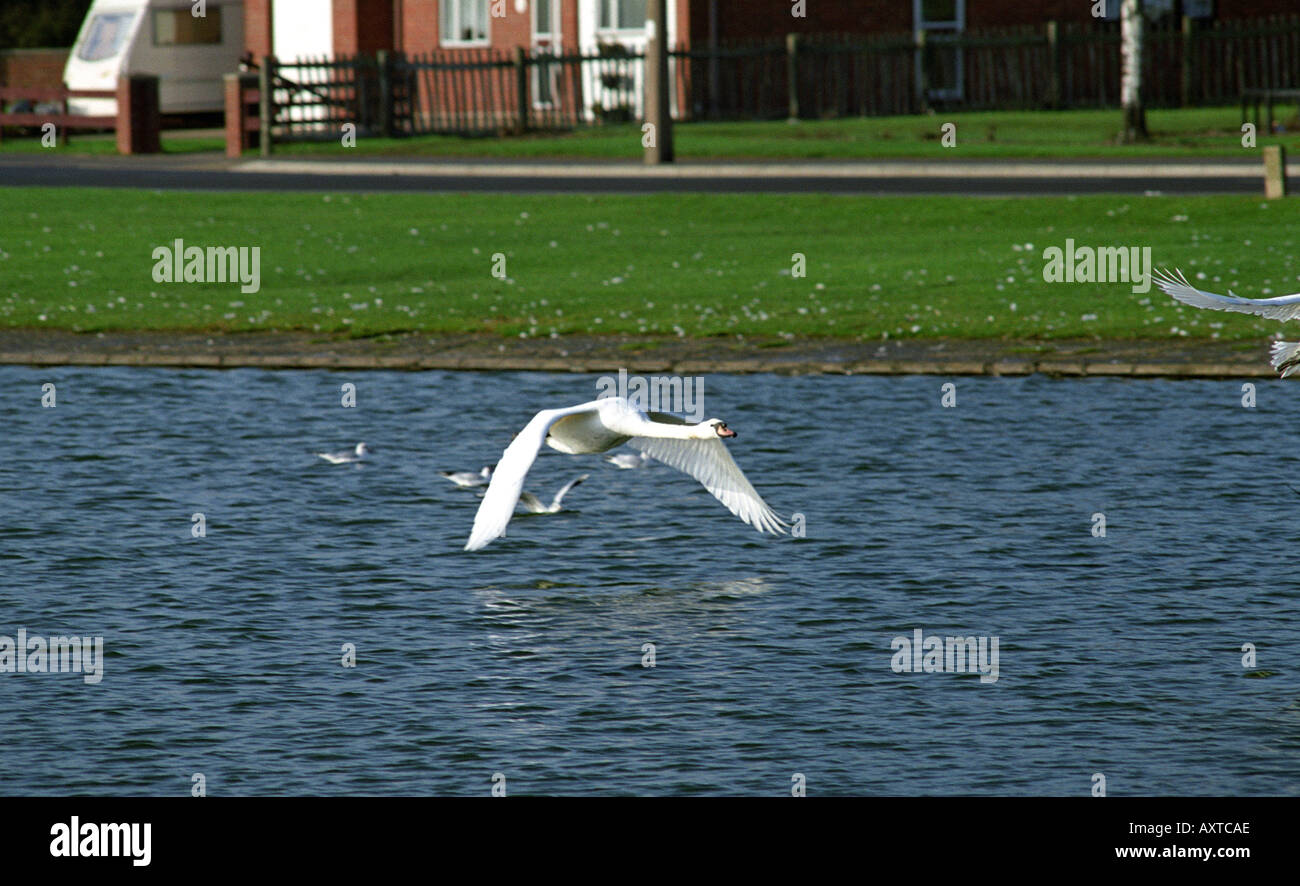 Oneengland hires stock photography and images Alamy