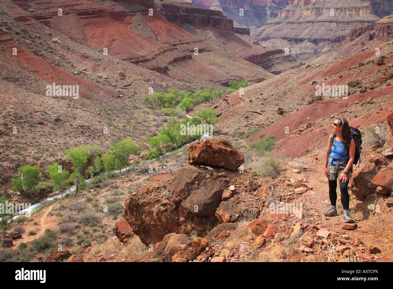 Hiker on her way to Thunder River from Tapeats Creek This hike is located in Grand Canyon National Park Stock Photo