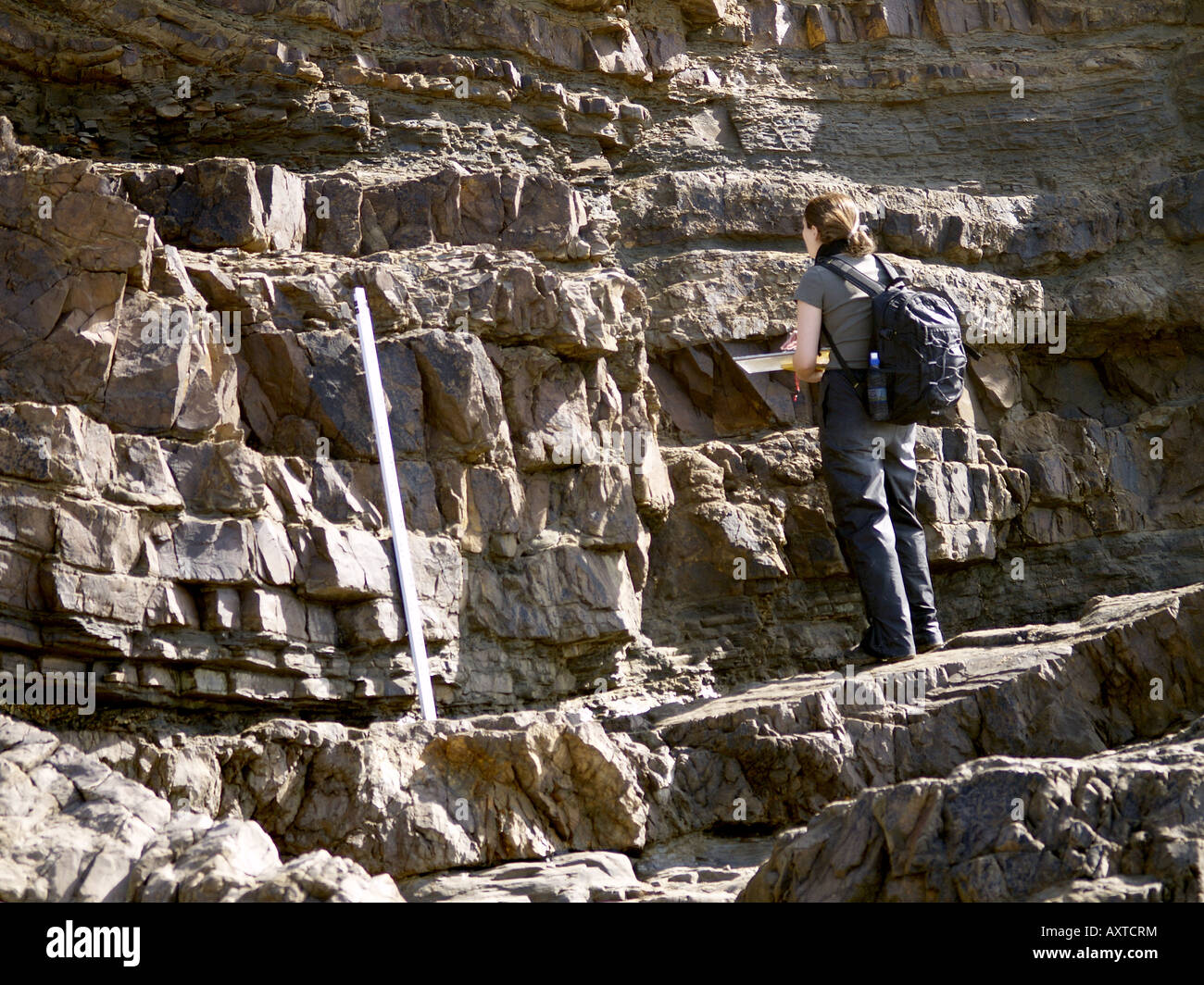 Student studying rock formations Crooklets Beach, Bude, Cornwall, UK ...