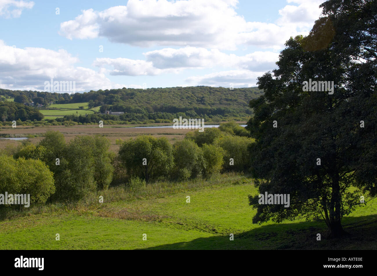 Leighton Moss RSPB nature reserve at Silverdale Lancashire Stock Photo Alamy
