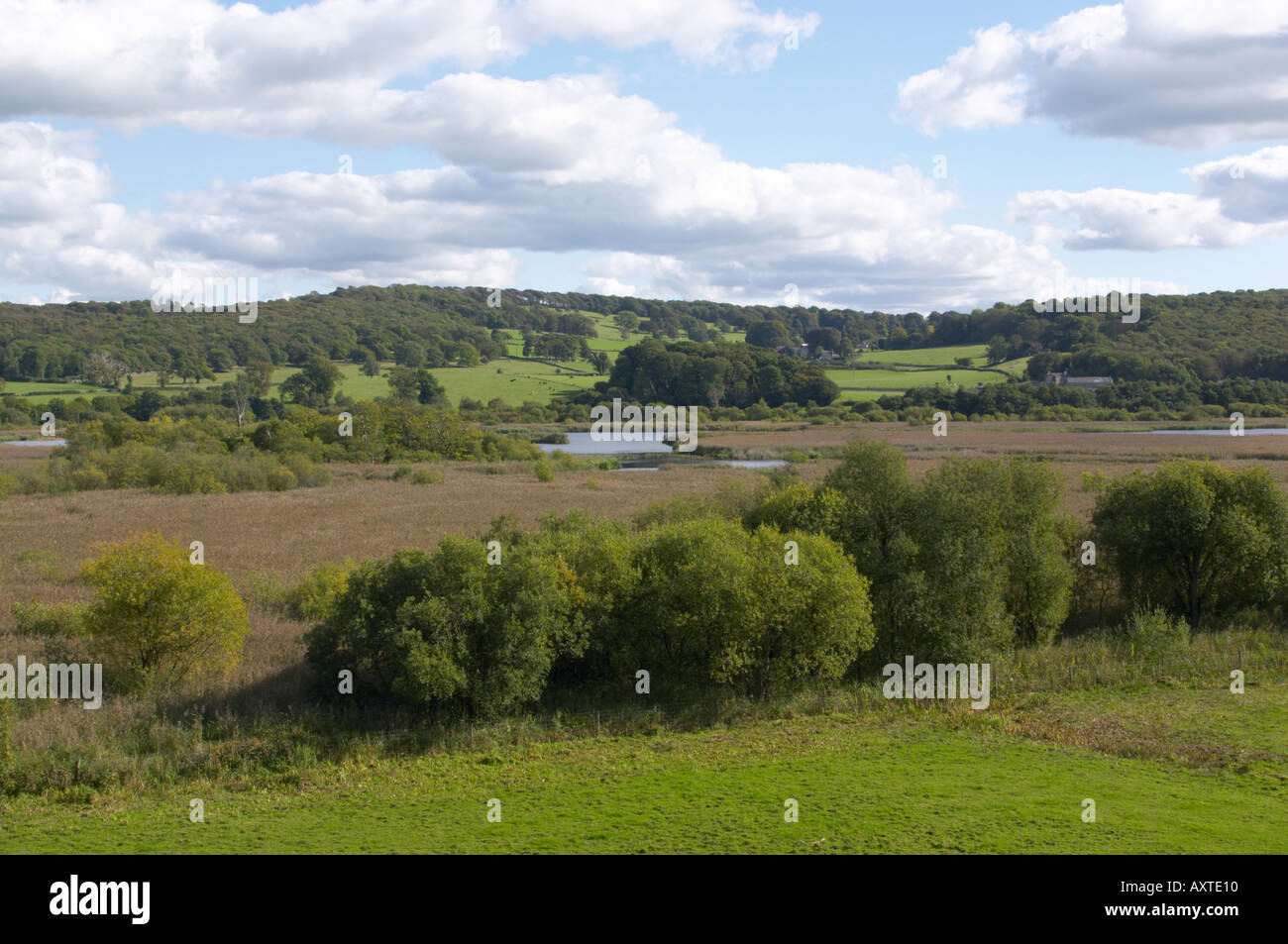 Leighton Moss RSPB nature reserve at Silverdale Lancashire Stock Photo