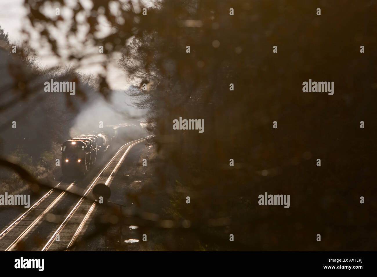 An eastbound Norfolk Southern train heads out of the setting sun, as seen from between tree branches along the mainline. Stock Photo