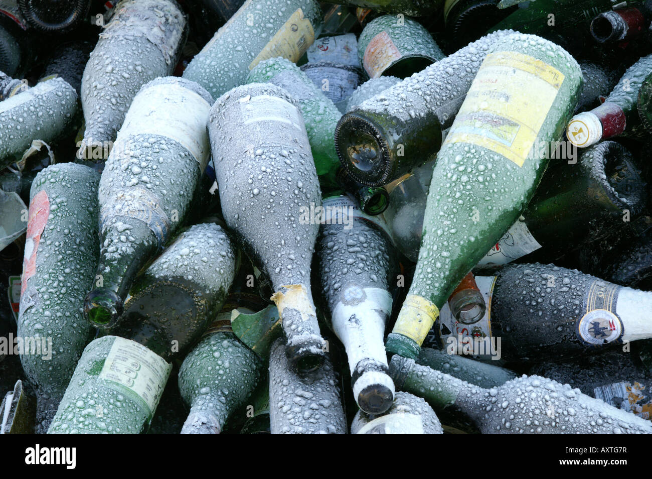 Old green glass bottles with glazed frost in recycling plat / Grüne Altglasflaschen mit Raureif in Sammelstelle Stock Photo