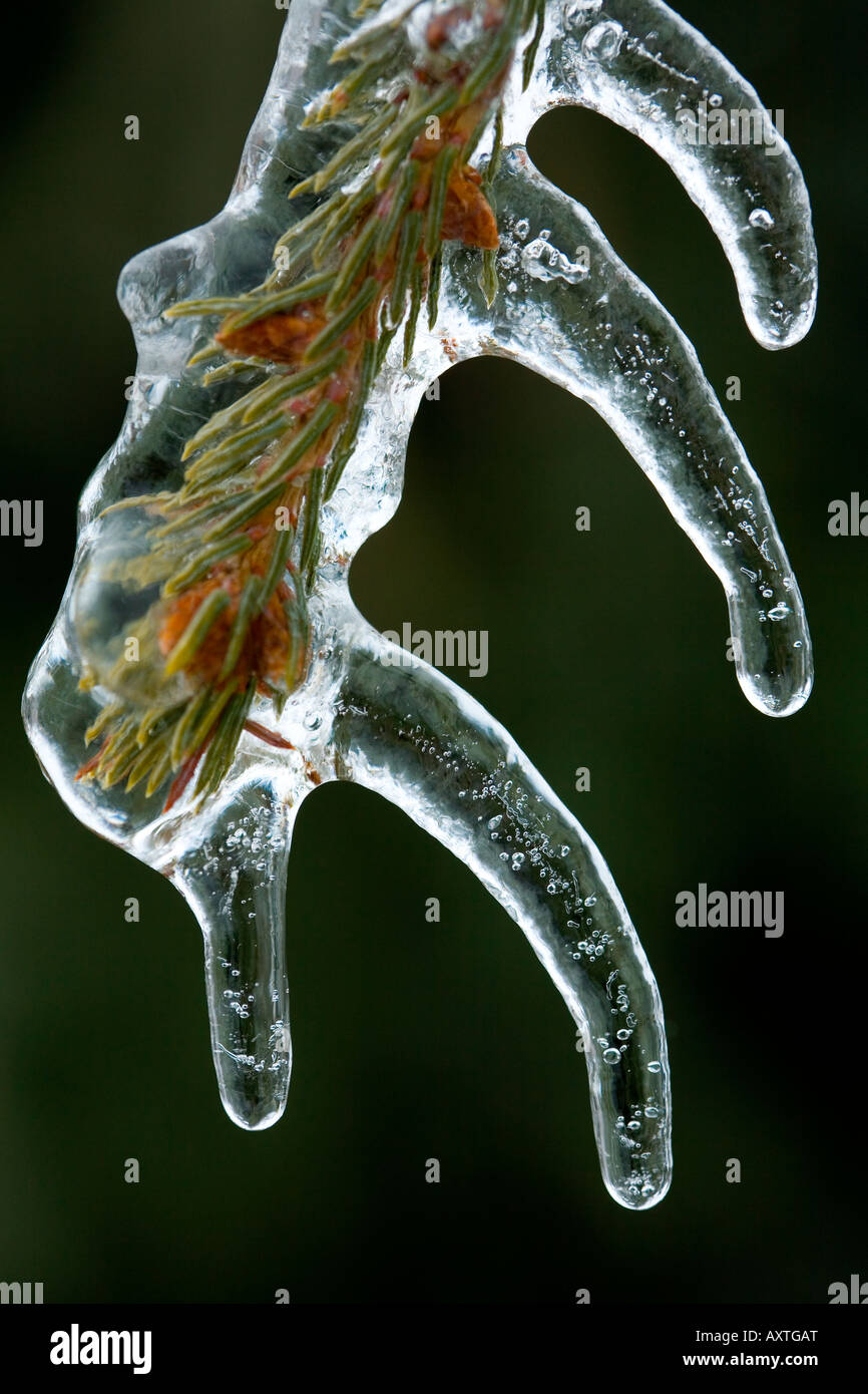 Freezing rain hi-res stock photography and images - Alamy