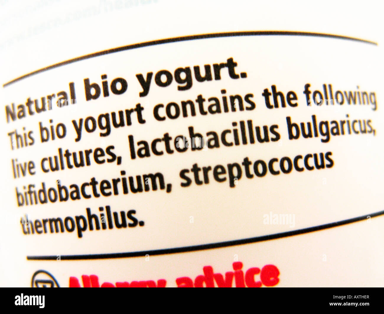 natural bio yogurt showing the information that it contains live cultures Stock Photo