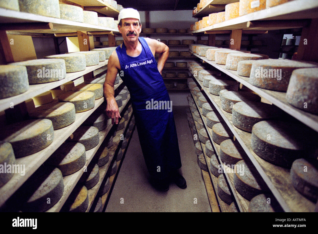 Award winning cheese maker Leon Downey at Llangloffan Farm Castle Morris Pembrokeshire Wales UK