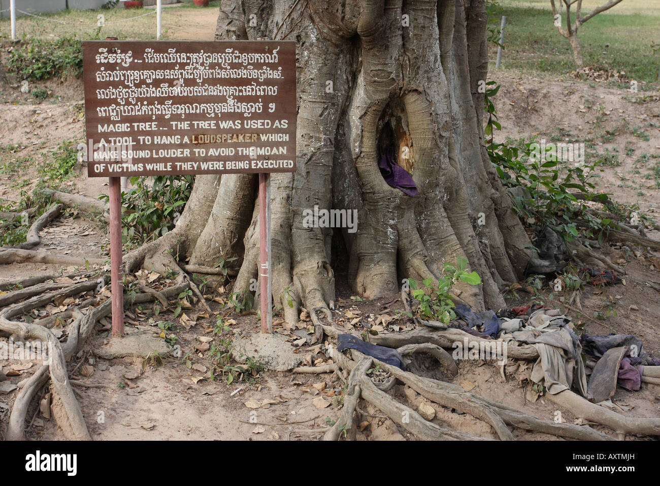 sign by tree at the killing fields, cambodia Stock Photo
