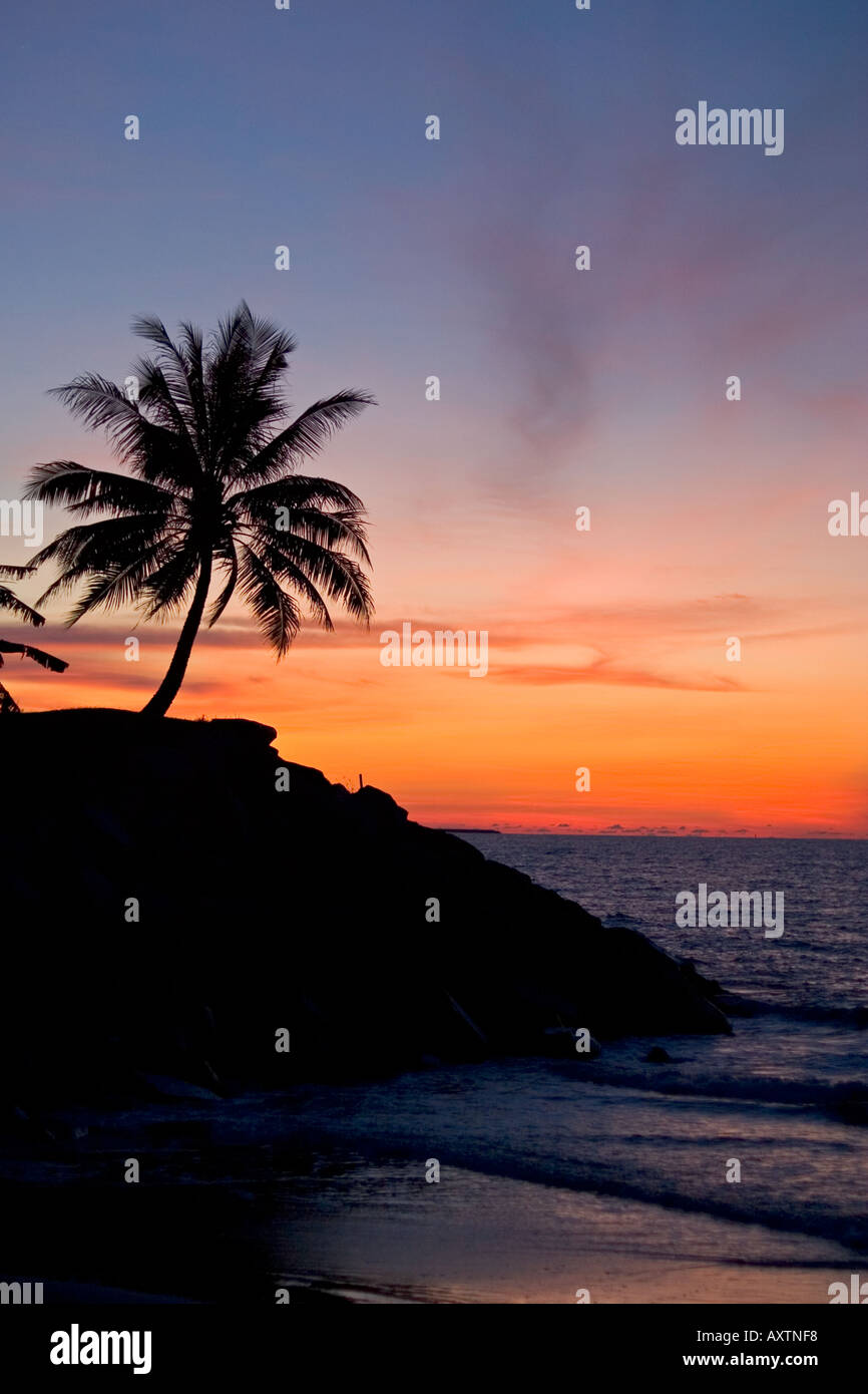 Tropical sunset beach palm hi-res stock photography and images - Alamy