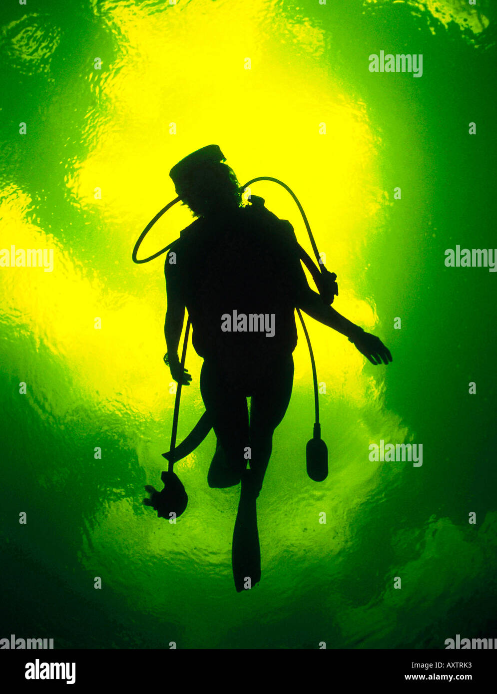 Scuba diver underwater silhouette hi-res stock photography and images ...