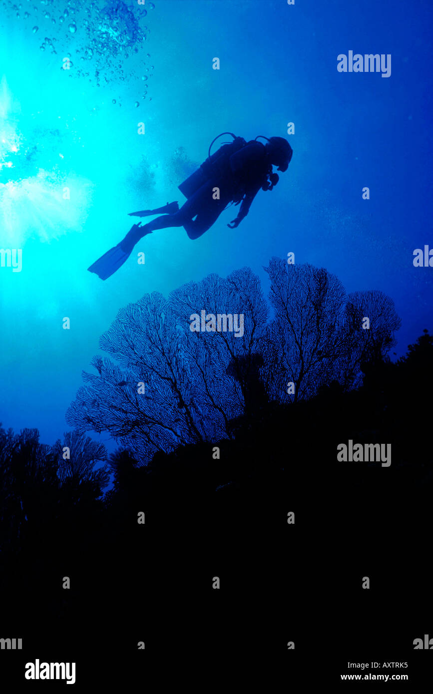 Silhouette of a scuba diver hi-res stock photography and images - Alamy